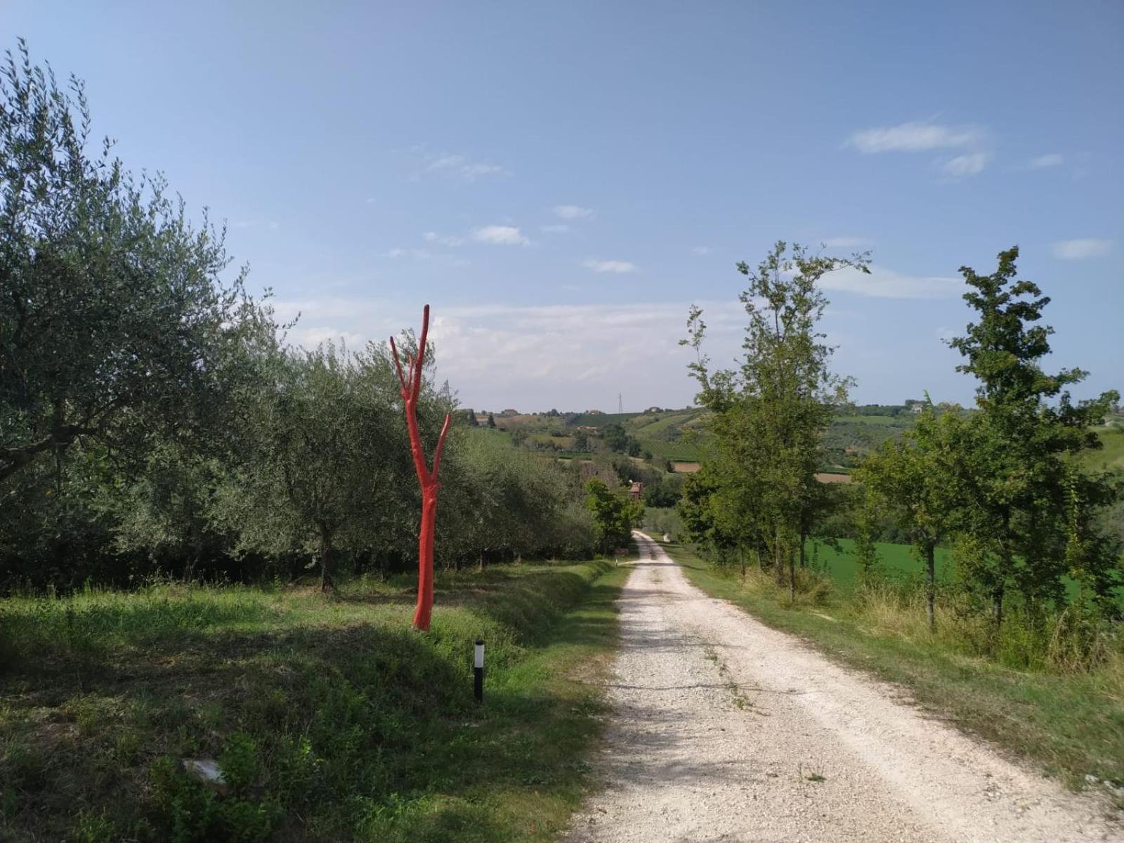 Photo 46