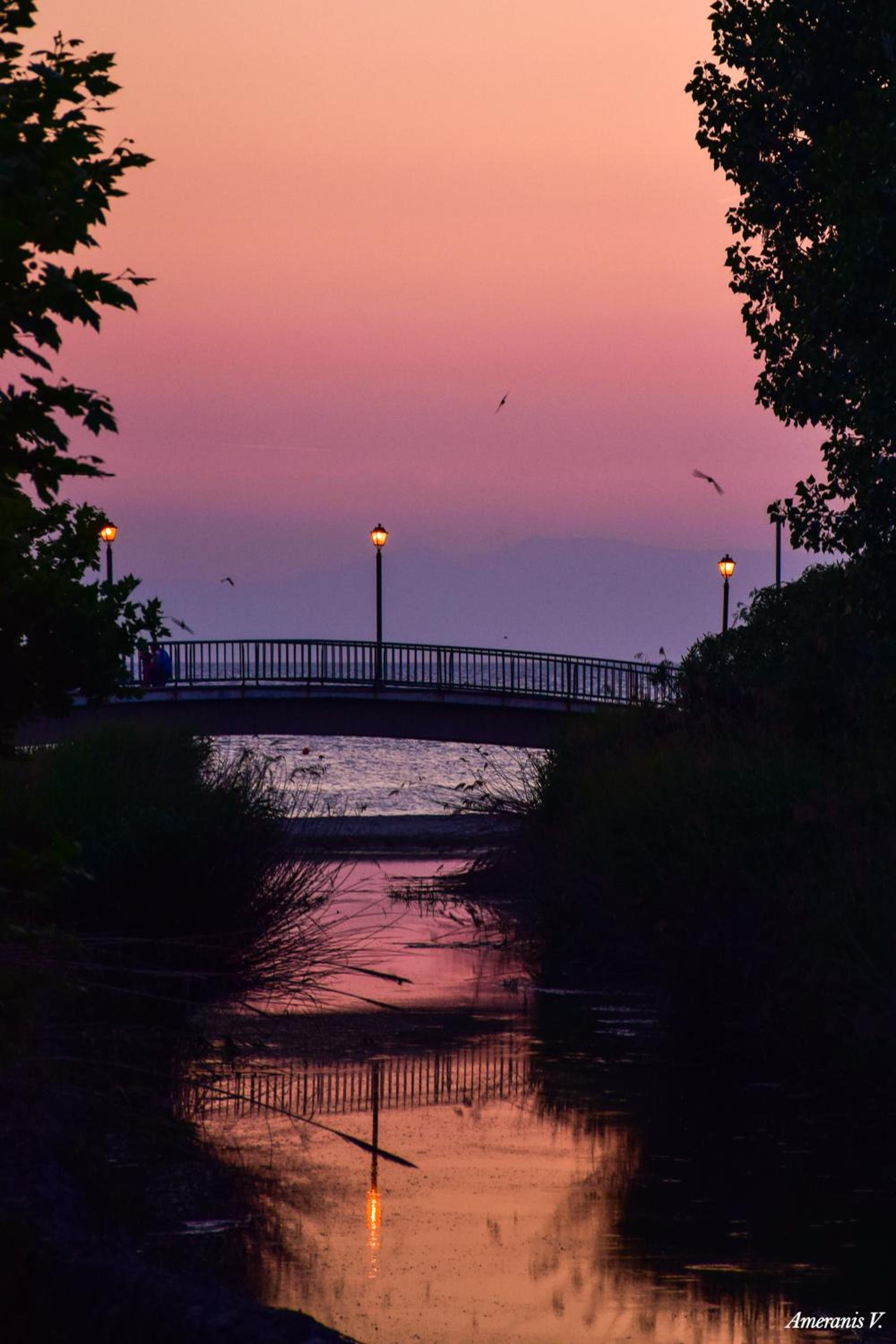 Photo 82