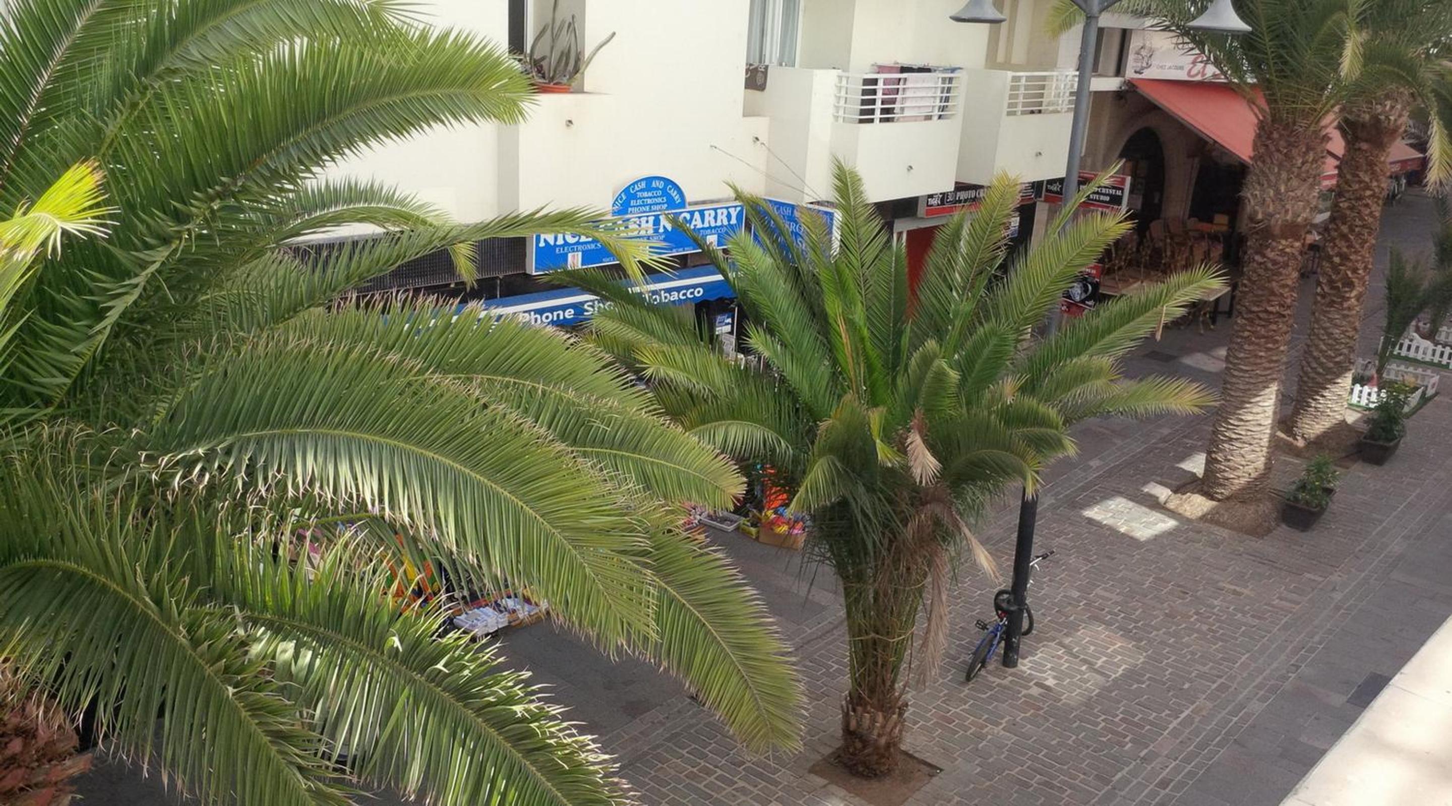 Fabulous 2-bedroom apartment right on the beach of Los Crstianos view 2