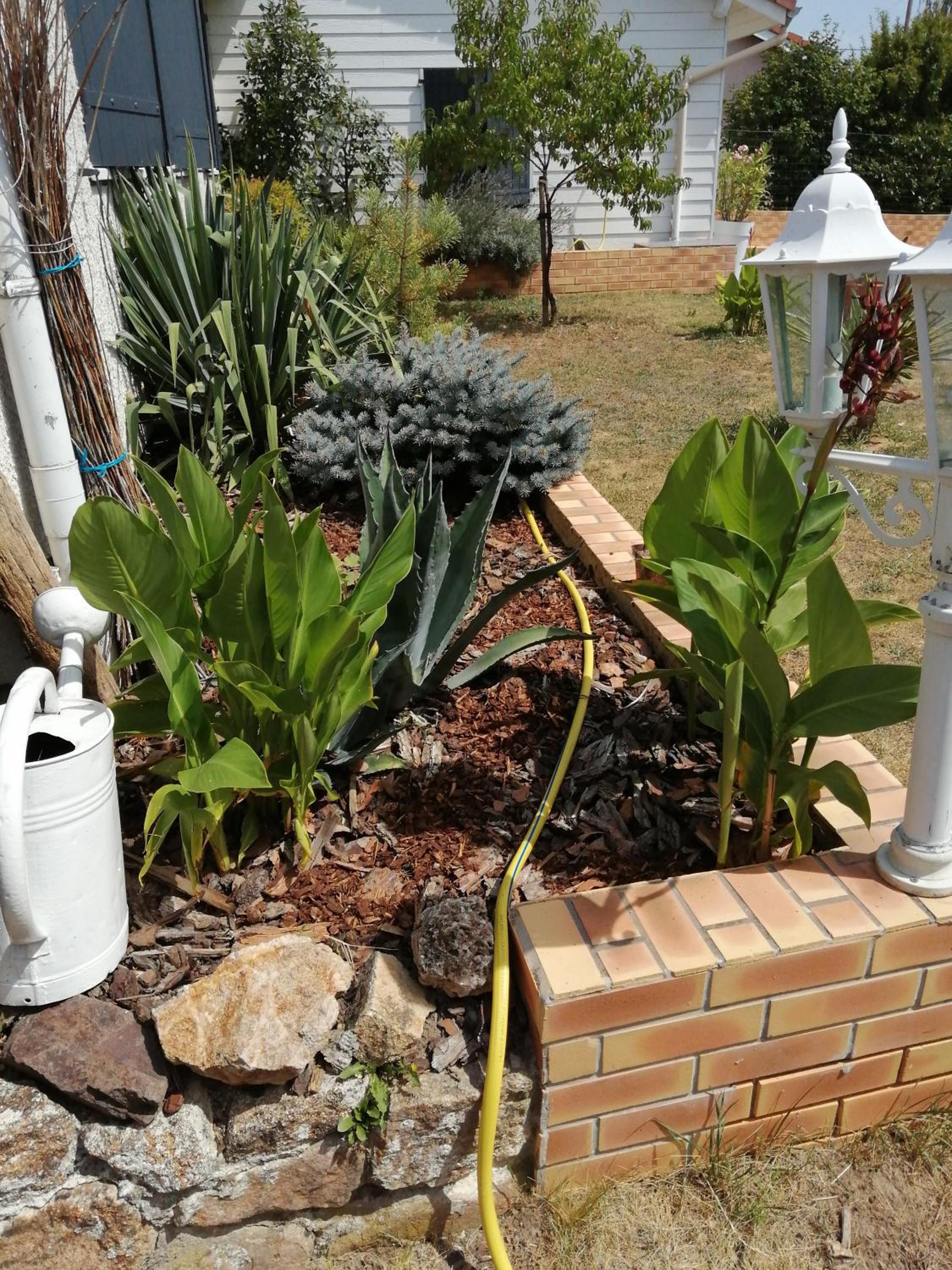 Photo 45