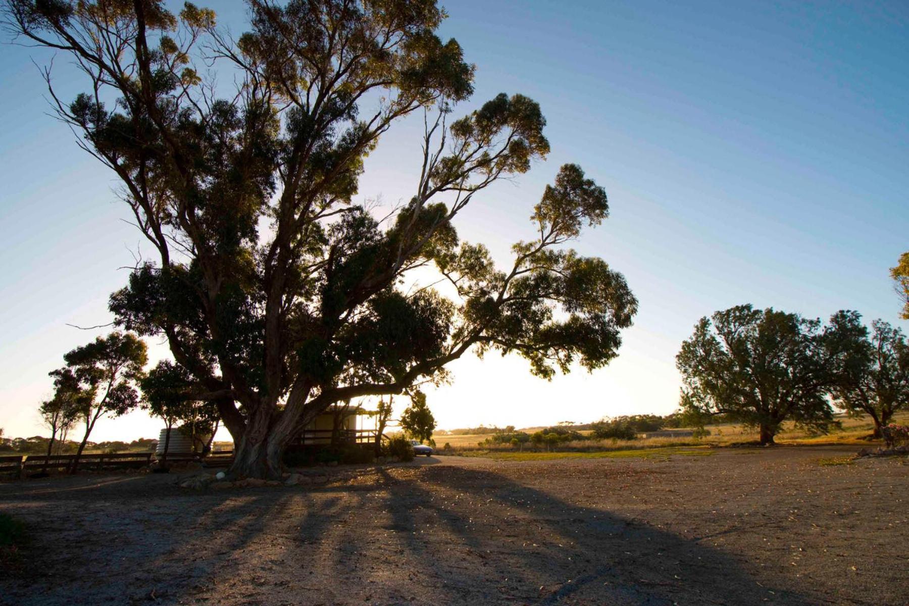Coodlie Park Eco Retreat