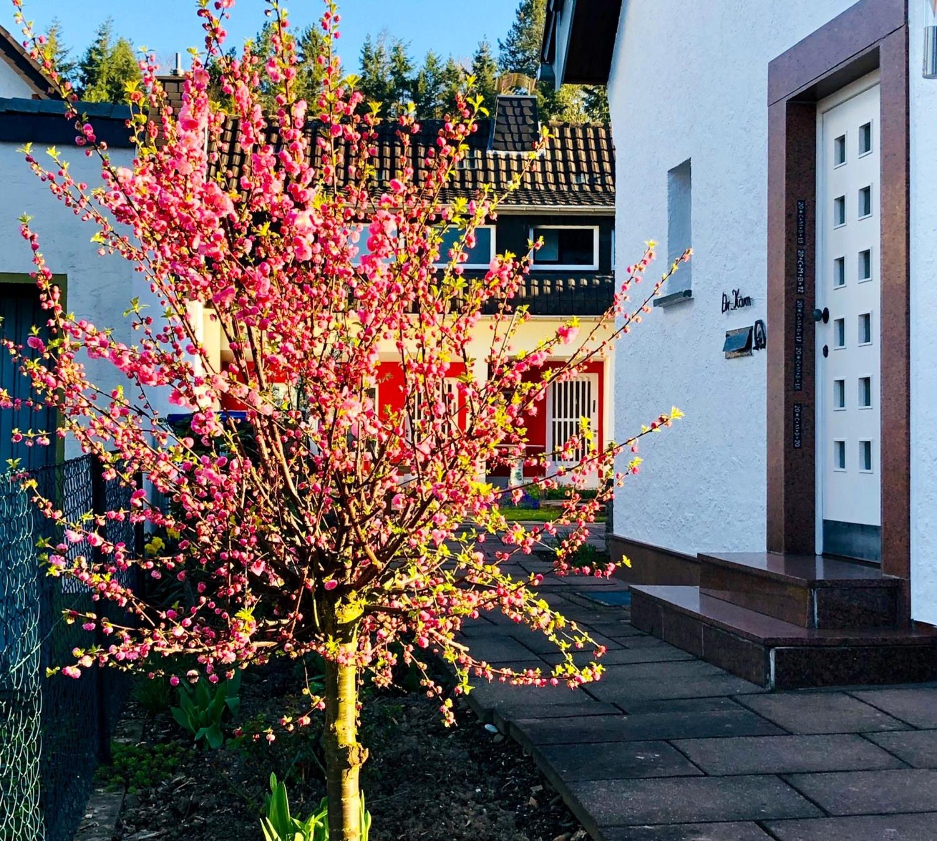 Ferienwohnung Ratana