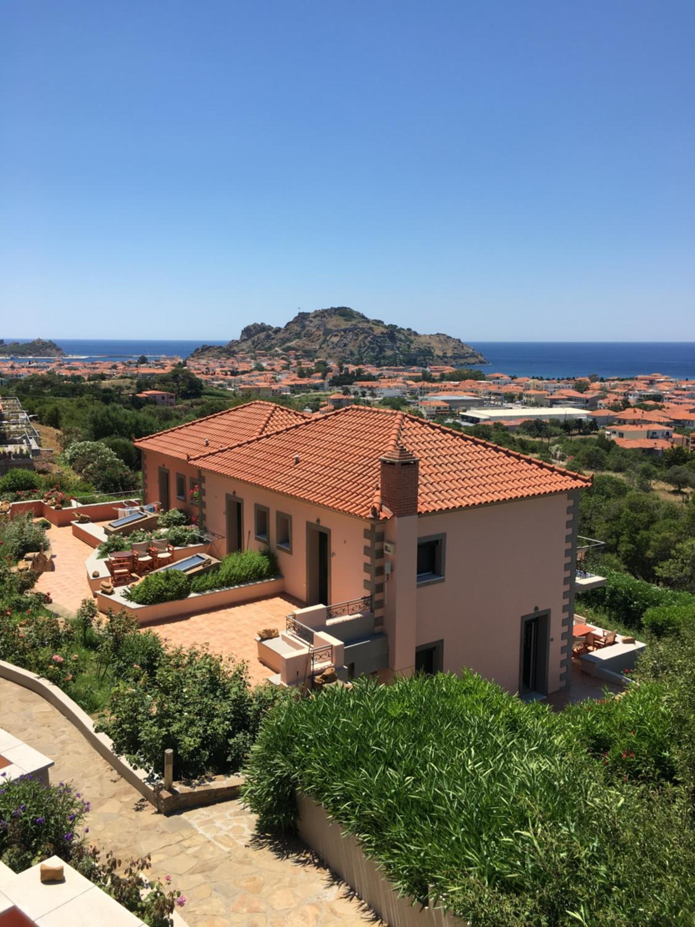 Amigdalies view 3