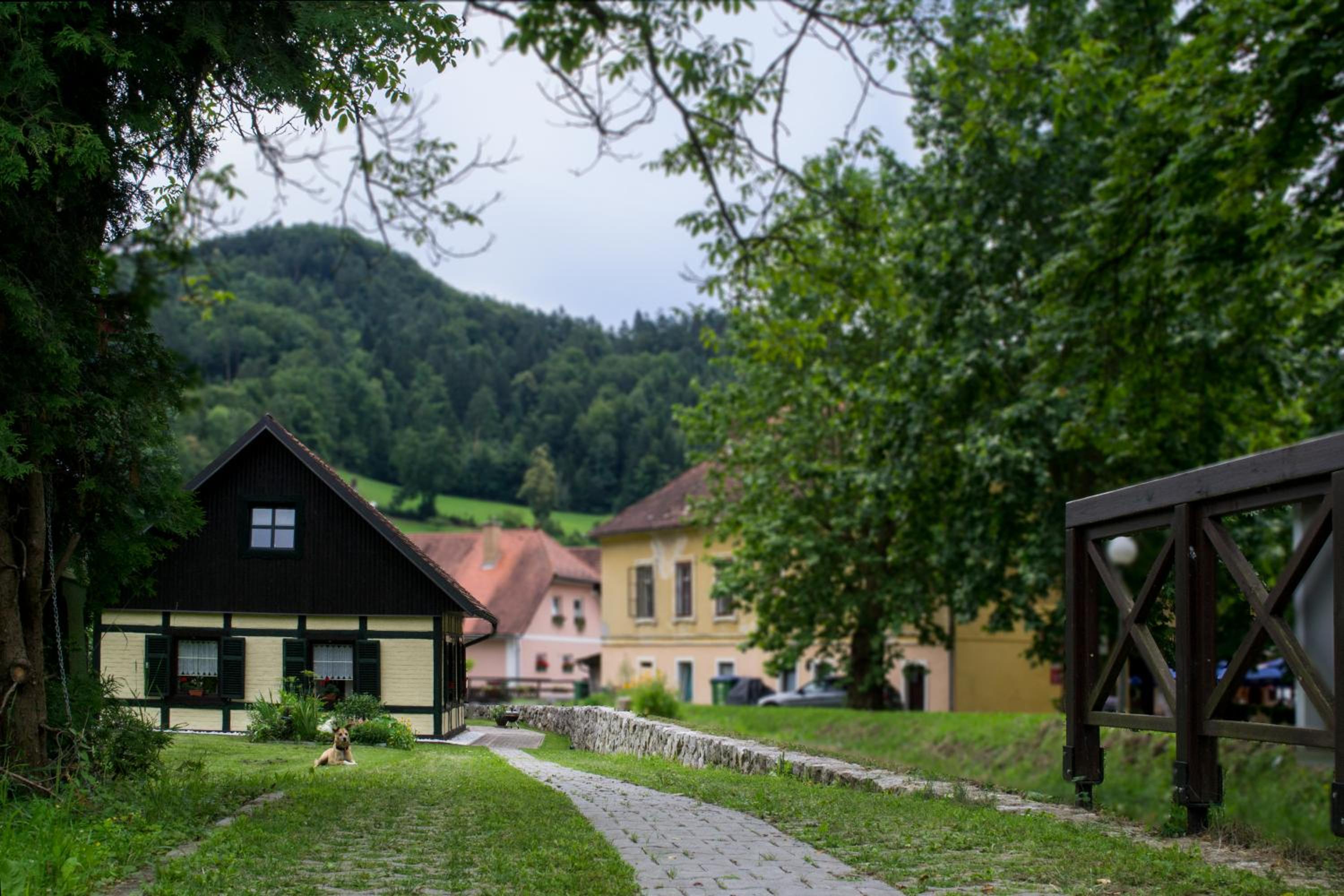 Hiška ob potoku view 3