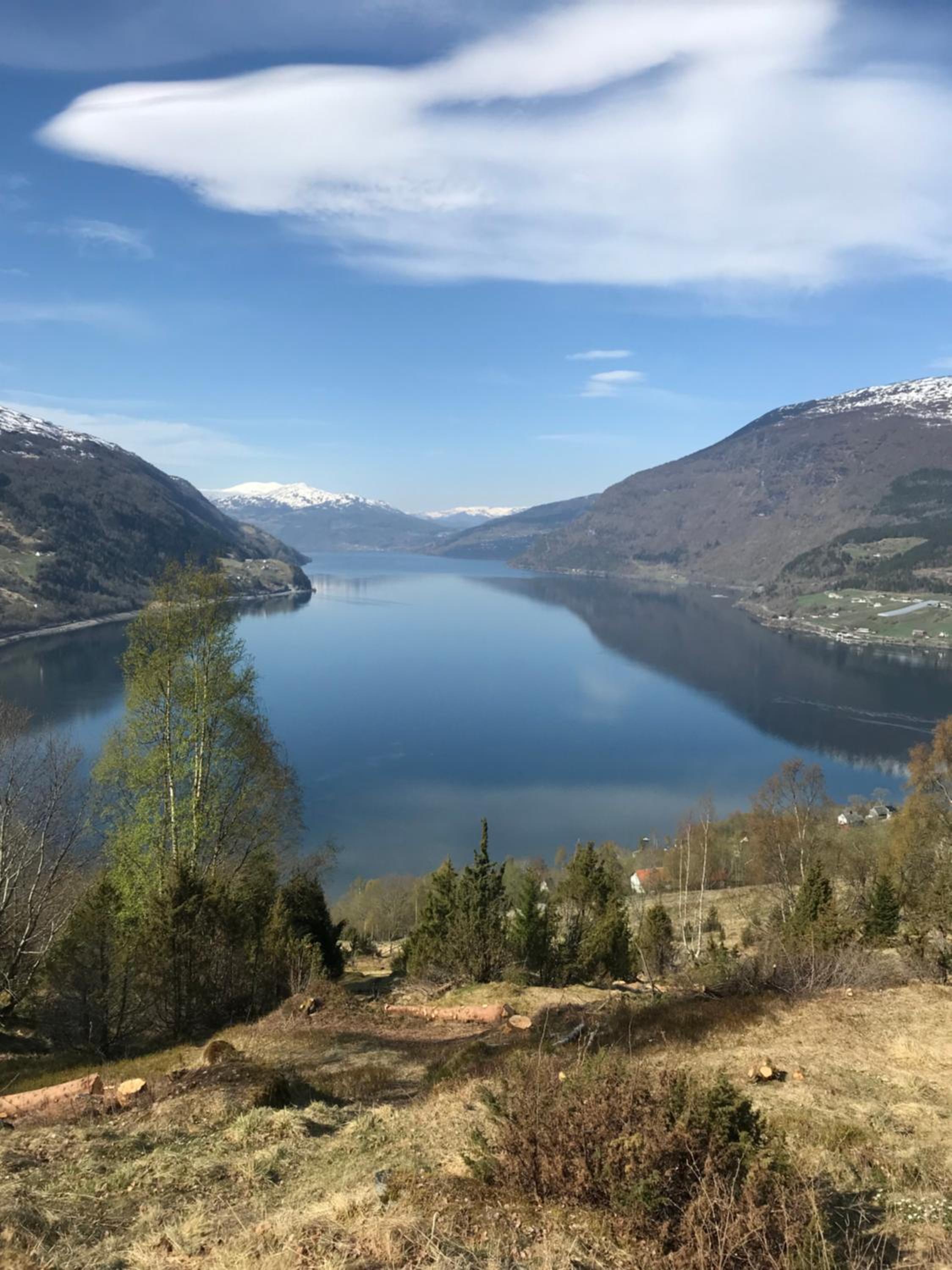 Panorama Fjord Olden