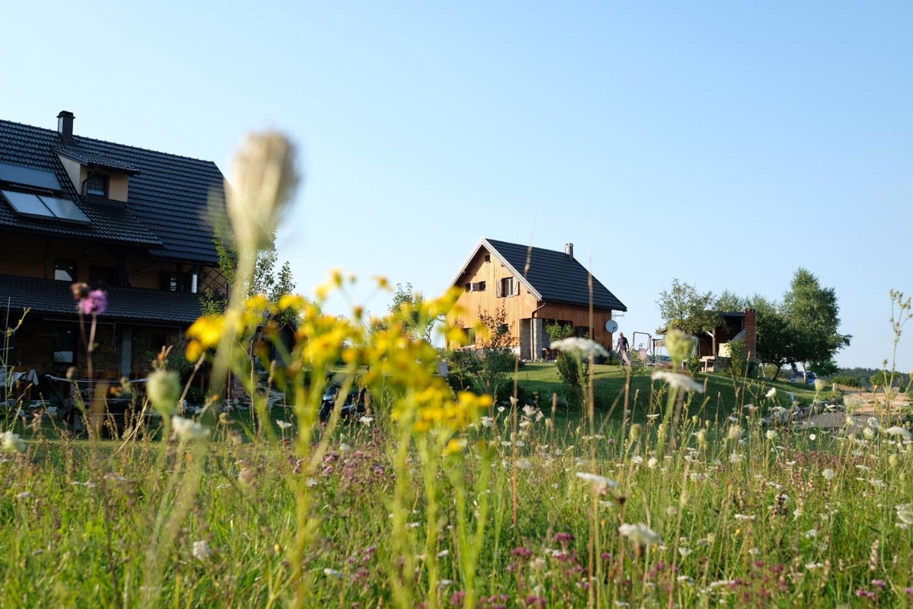 House Izvor view 2