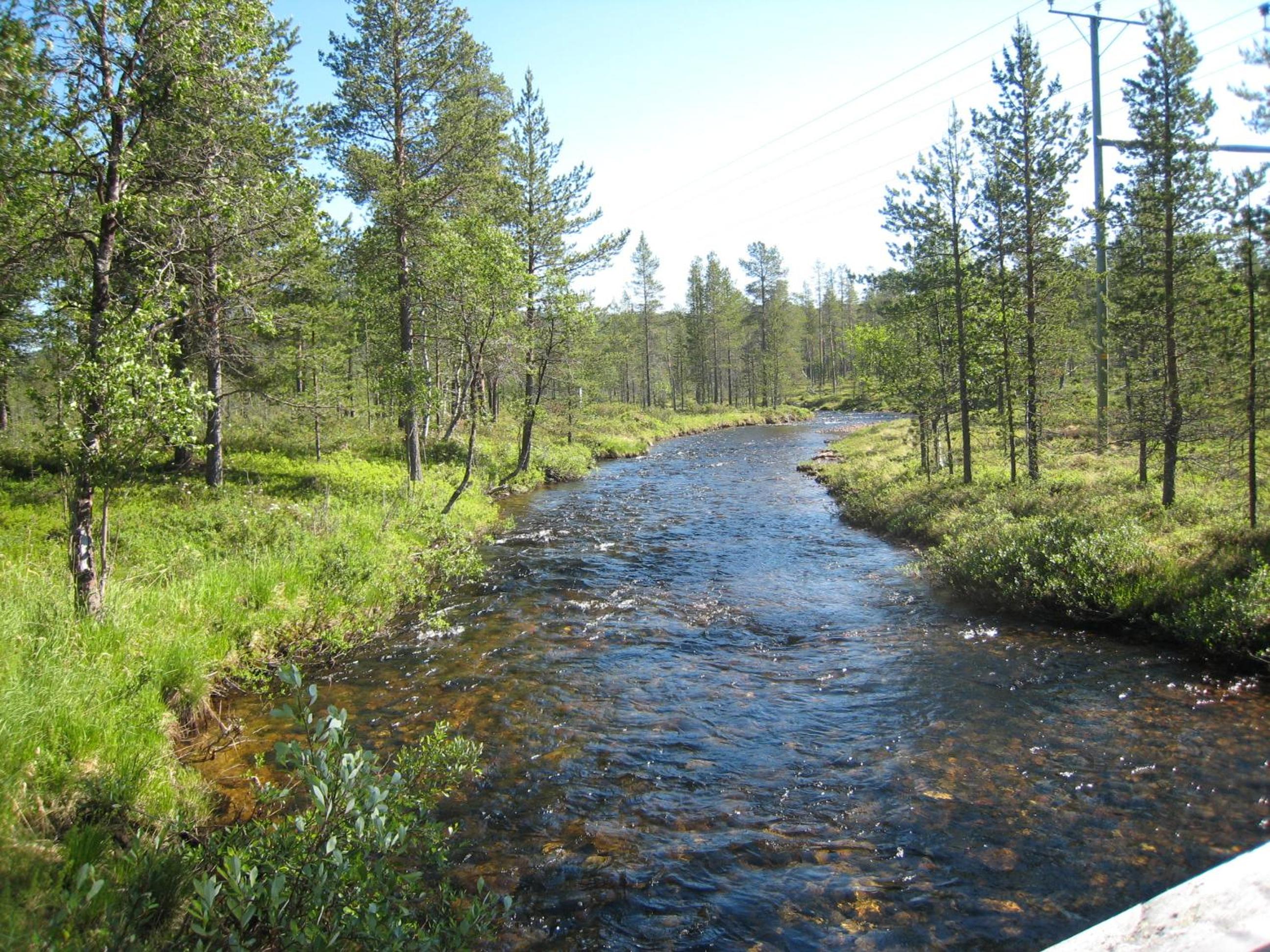 Photo 9