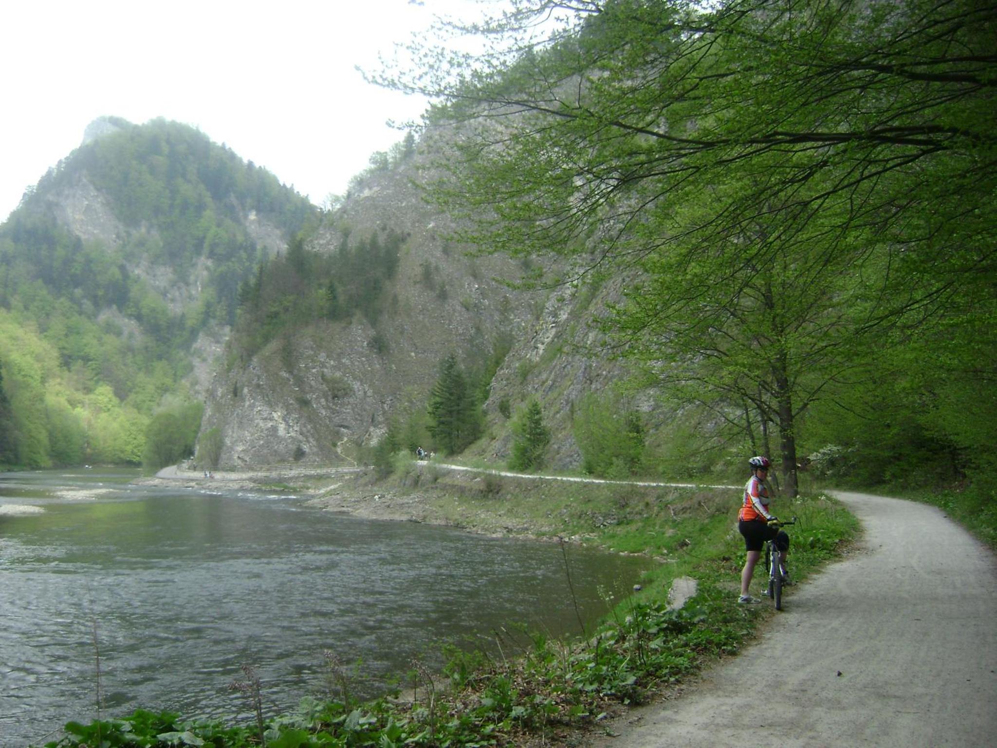Photo 9