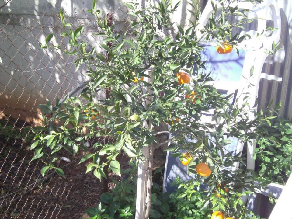 Photo 74