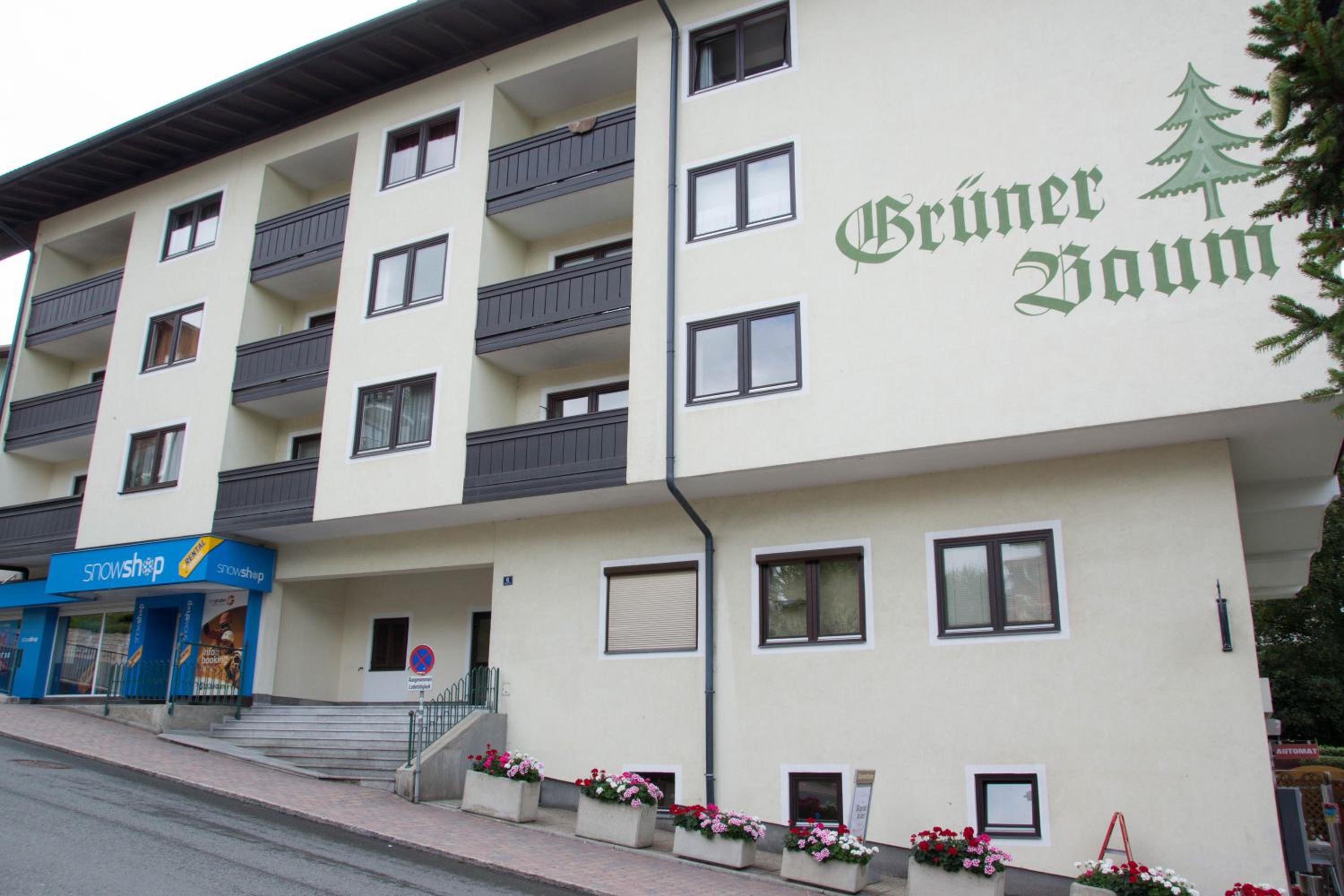 Apartment 12 Grüner Baum Alpendorf view 4
