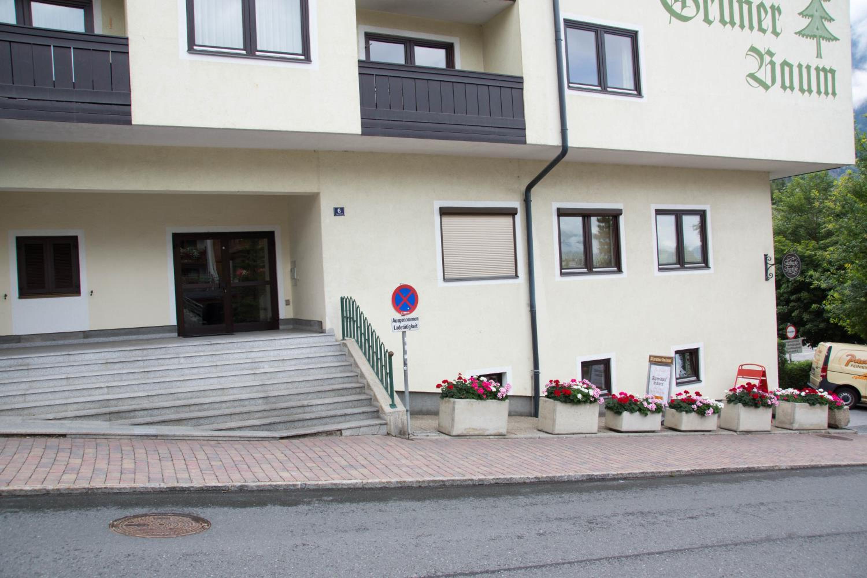 Apartment 12 Grüner Baum Alpendorf view 5