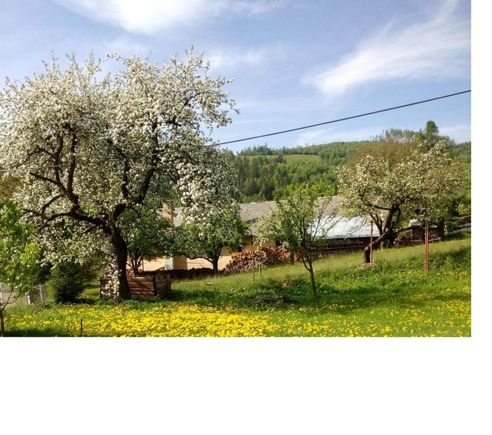 Ubytovanie u Tomku view 3