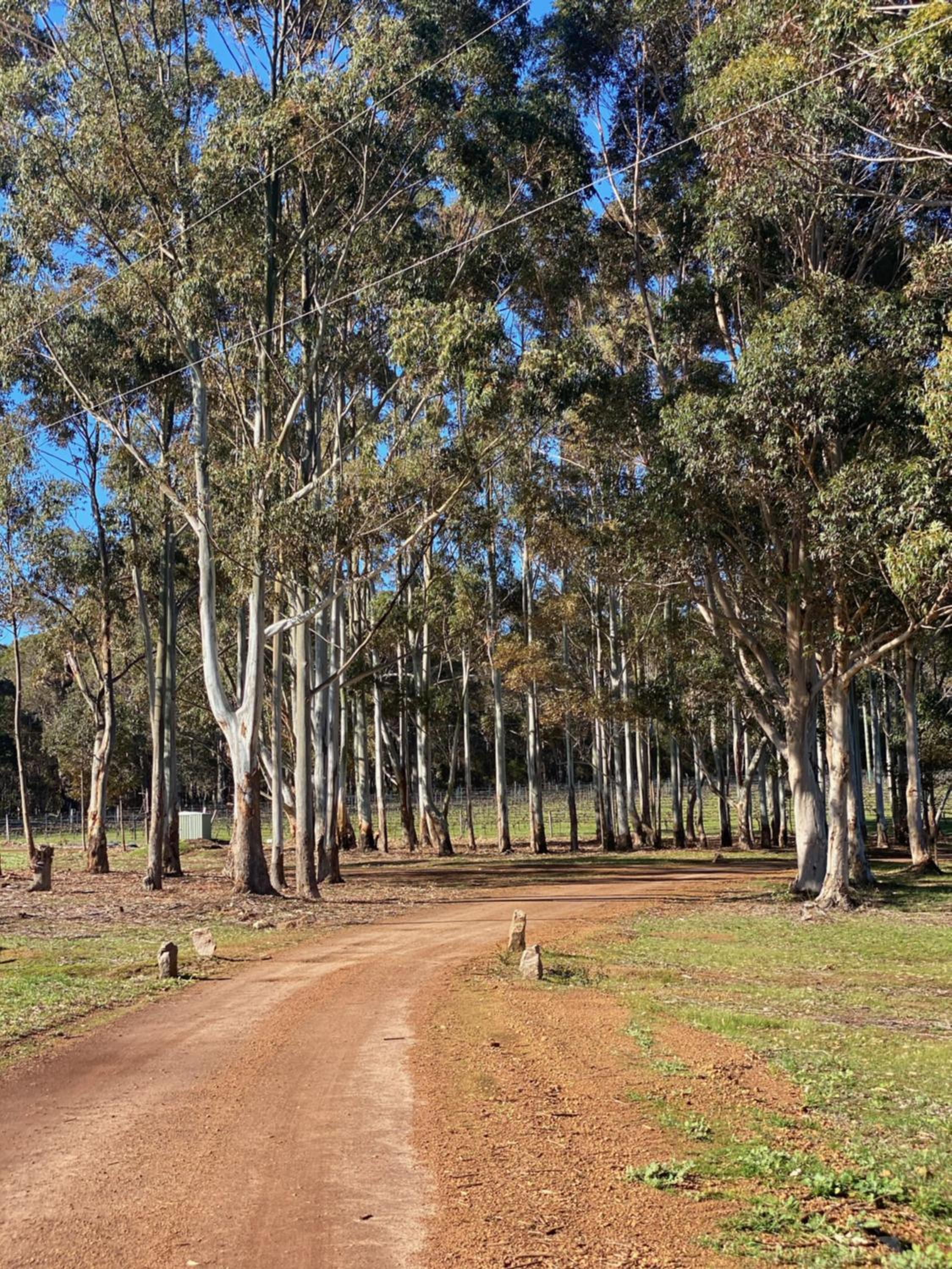 Harmony Forest Cottages & Lake side Lodge