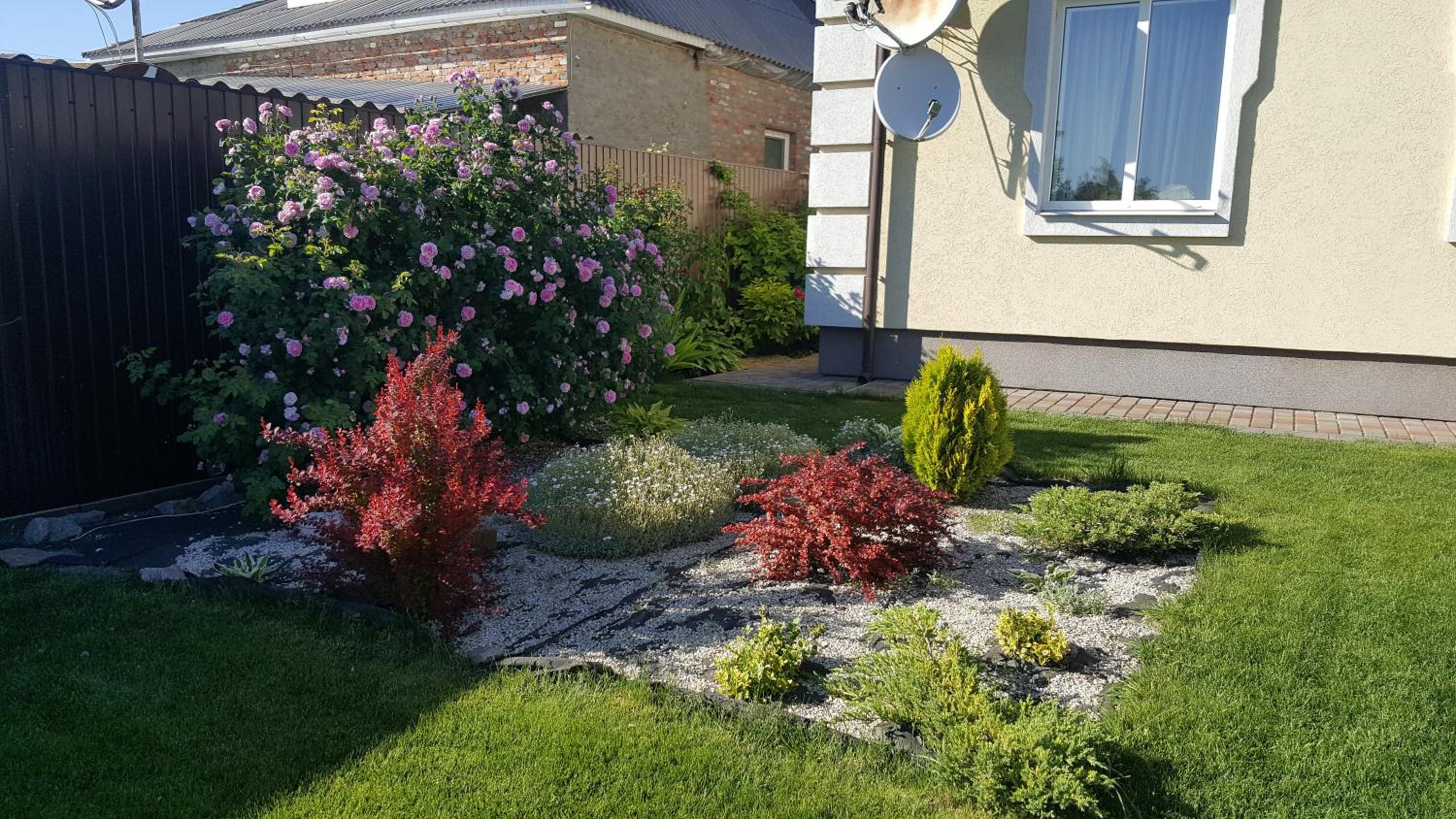 Photo 29