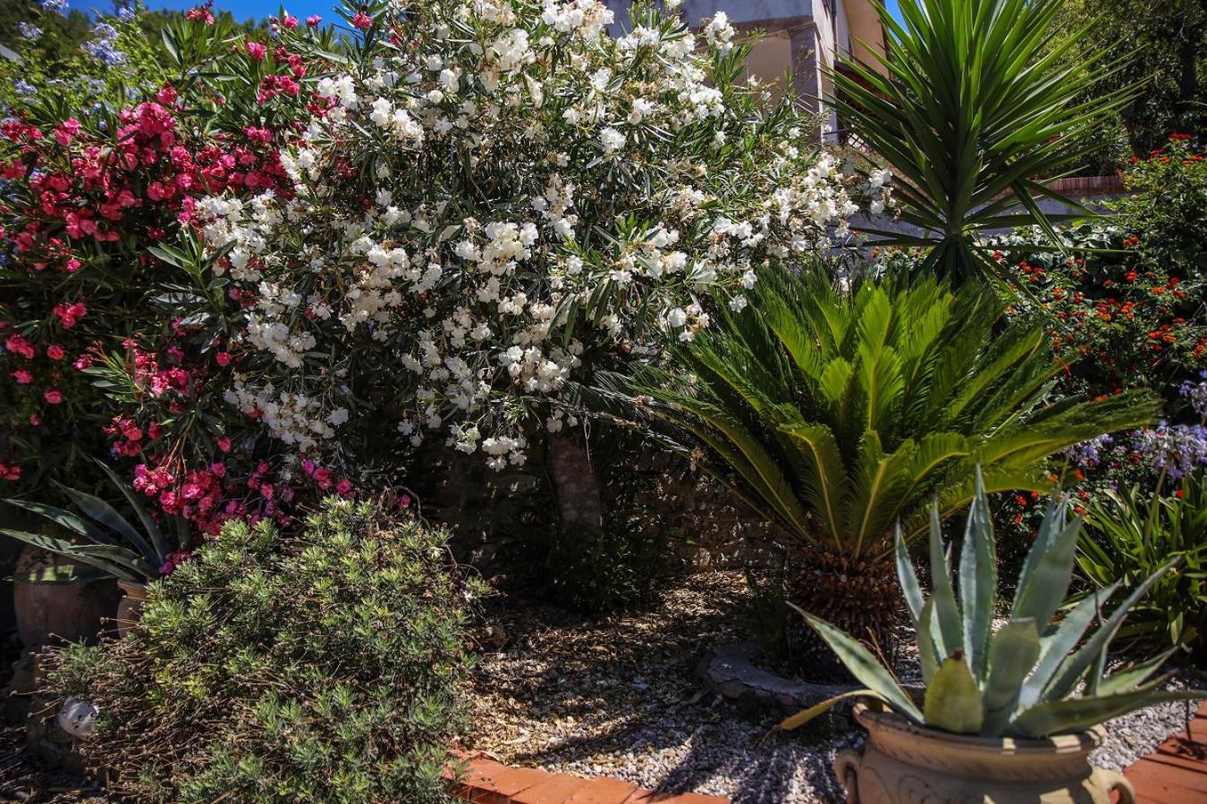 B&B La Residenza Torchiara