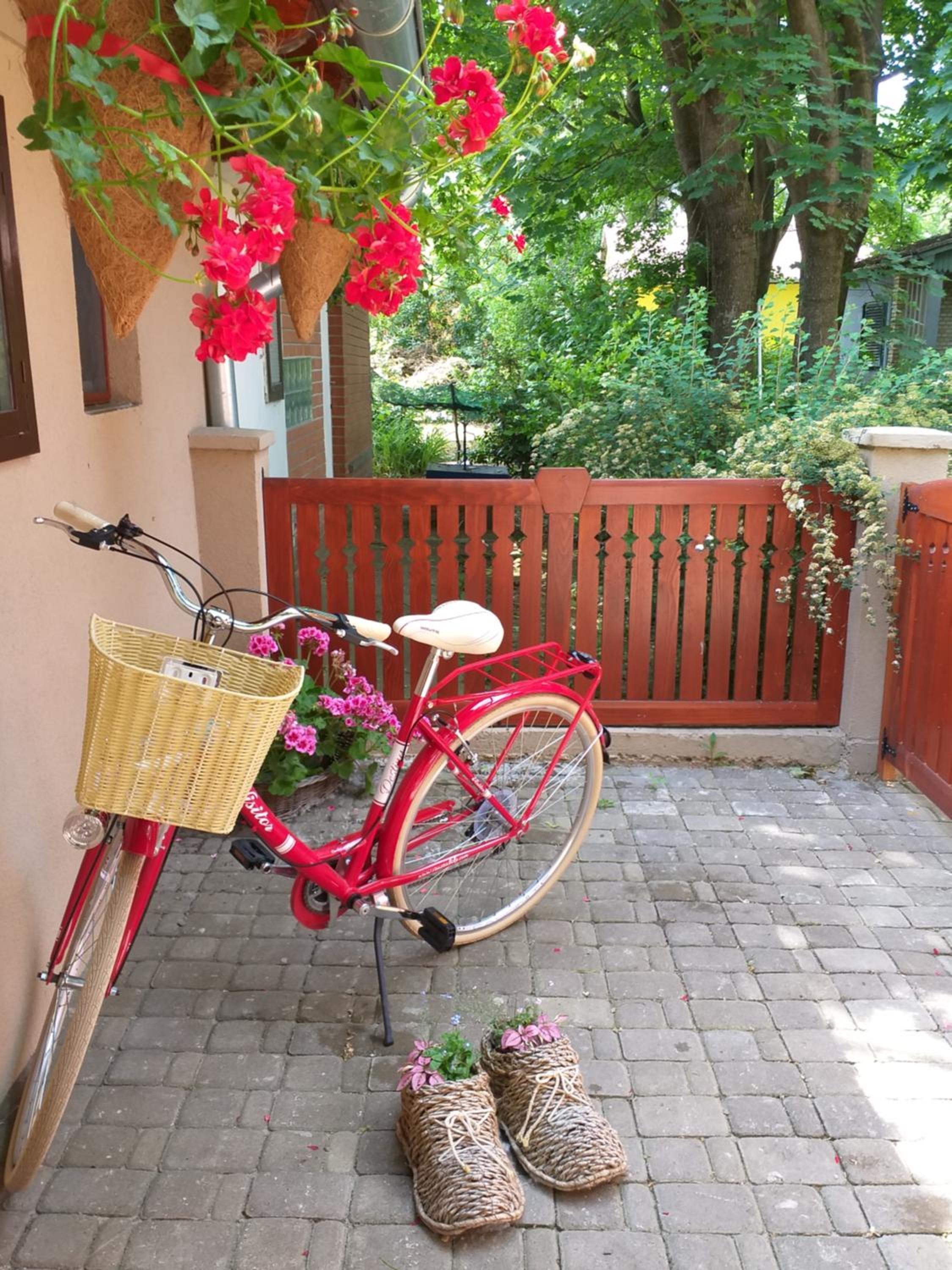Photo 26