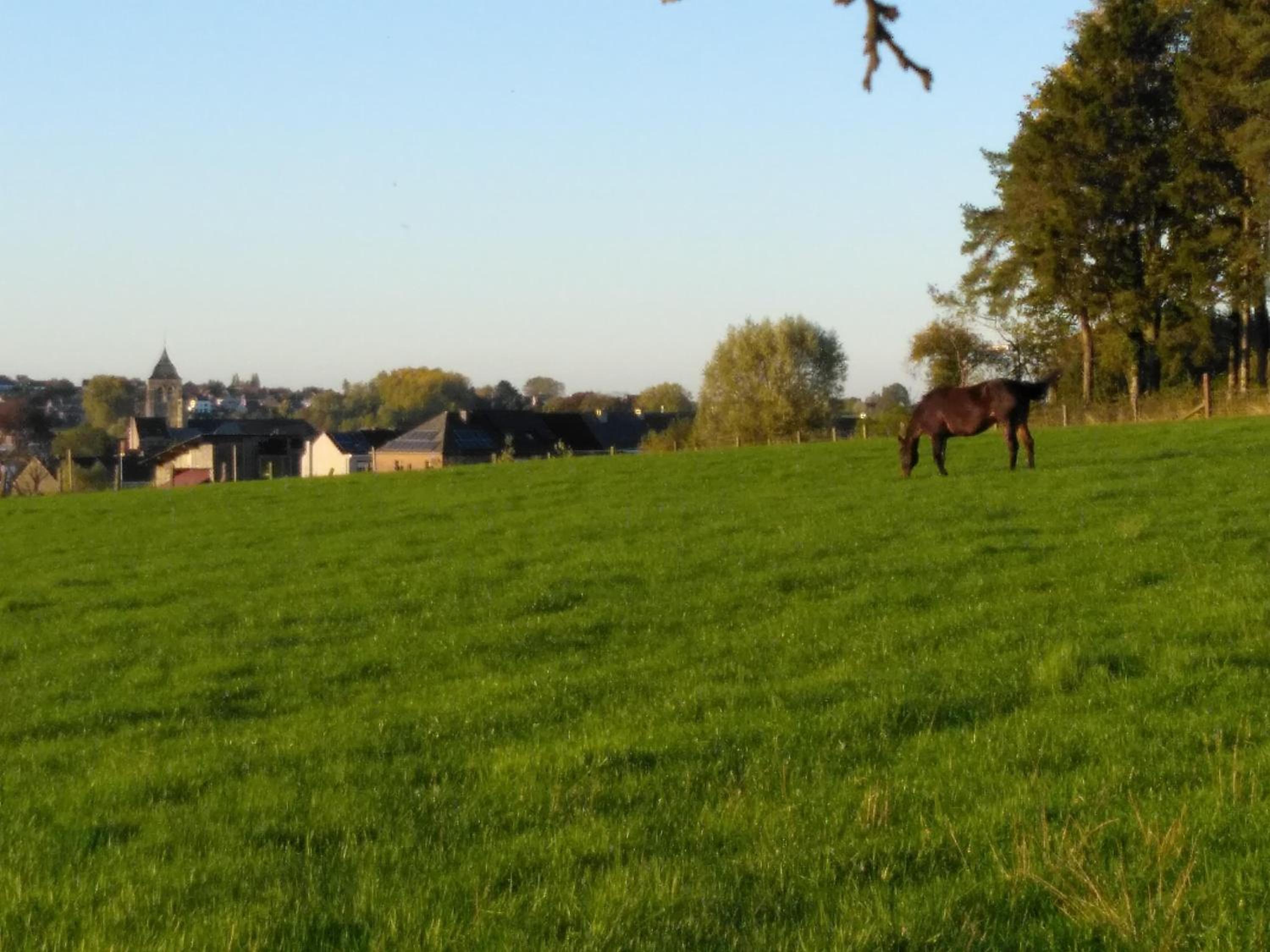 Vakantiewoning Hoge Zavel
