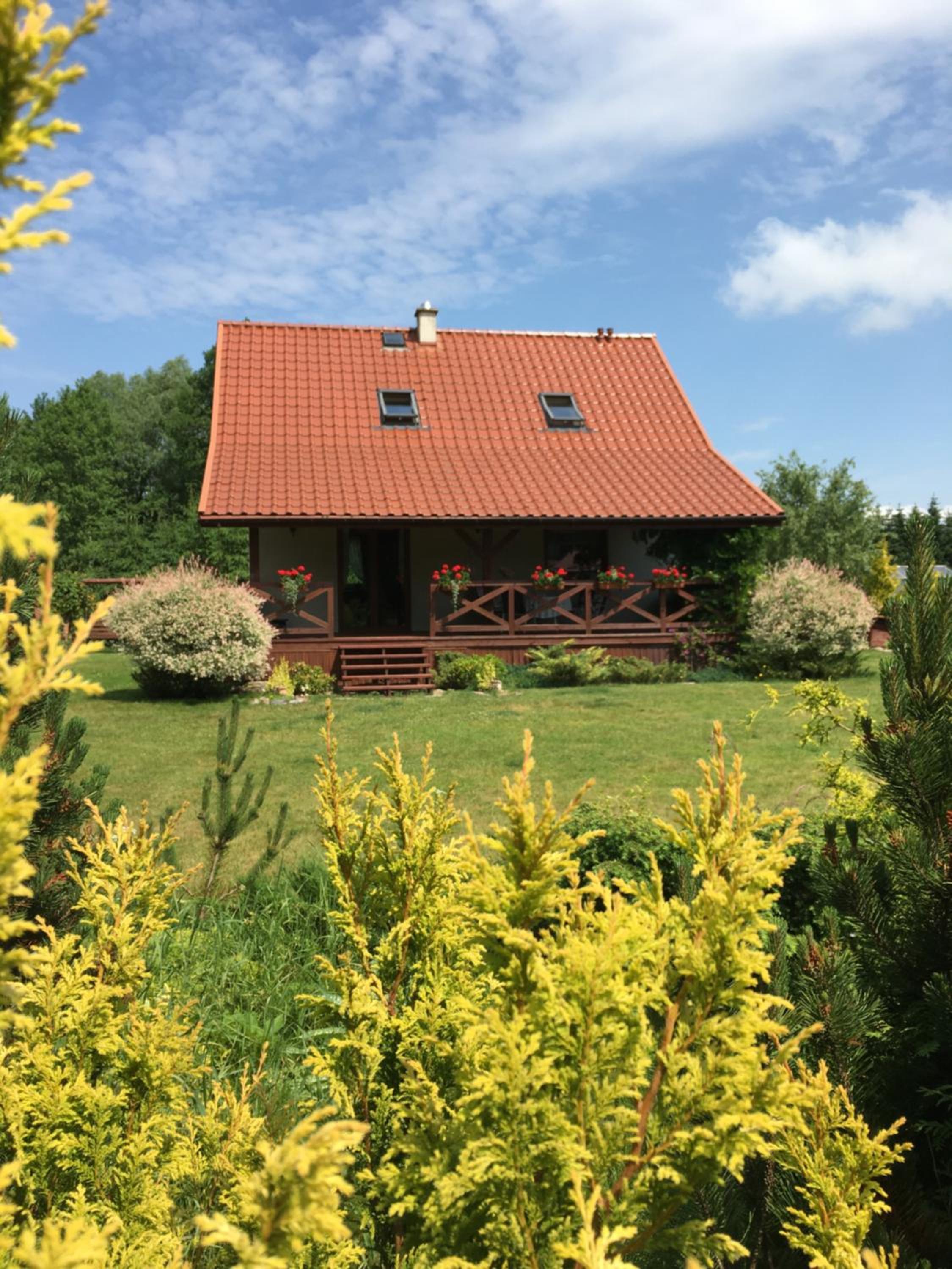 Dom w Sąpach view 4