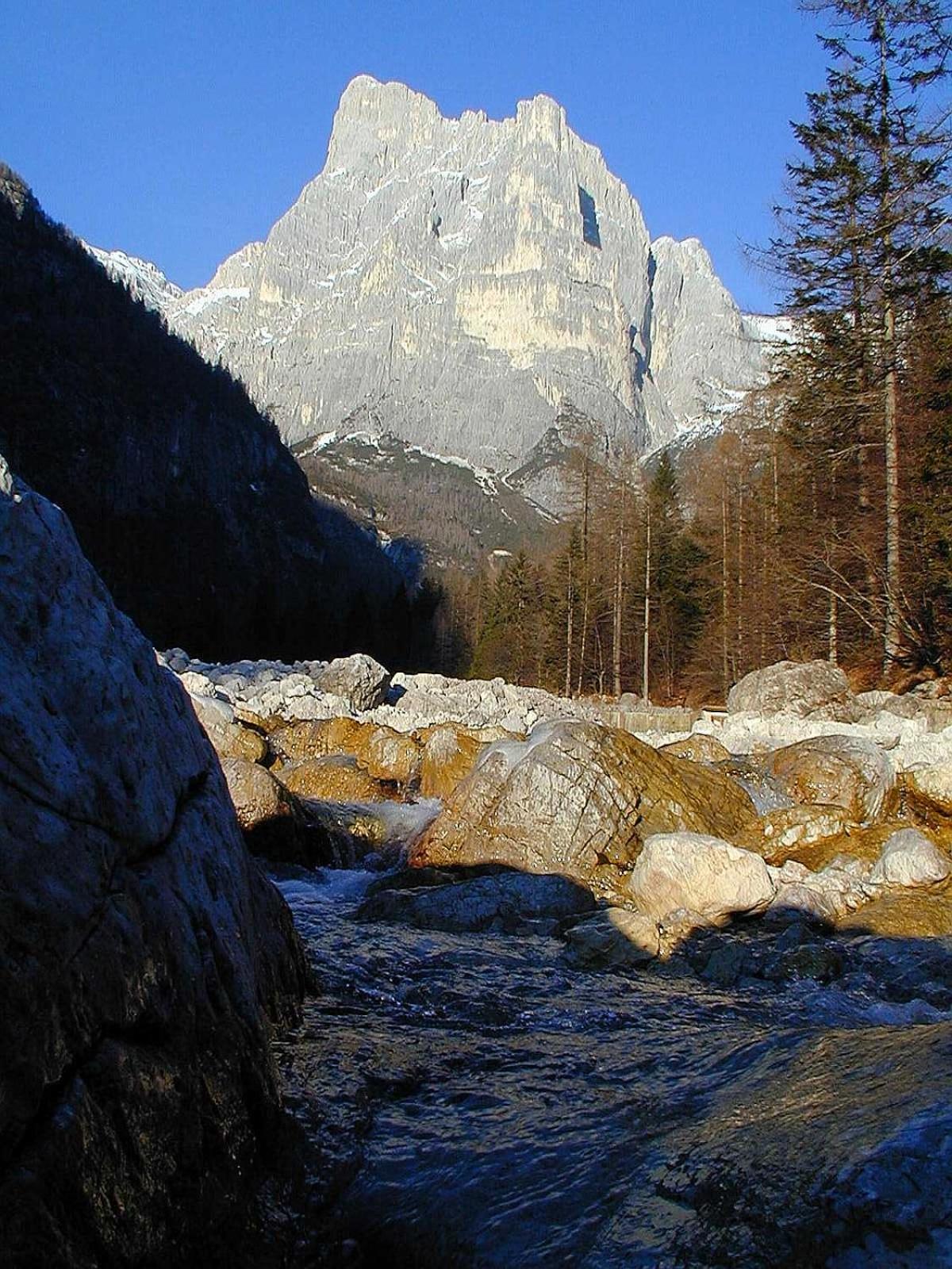 Photo 34