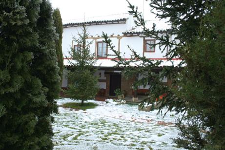 Photo 46