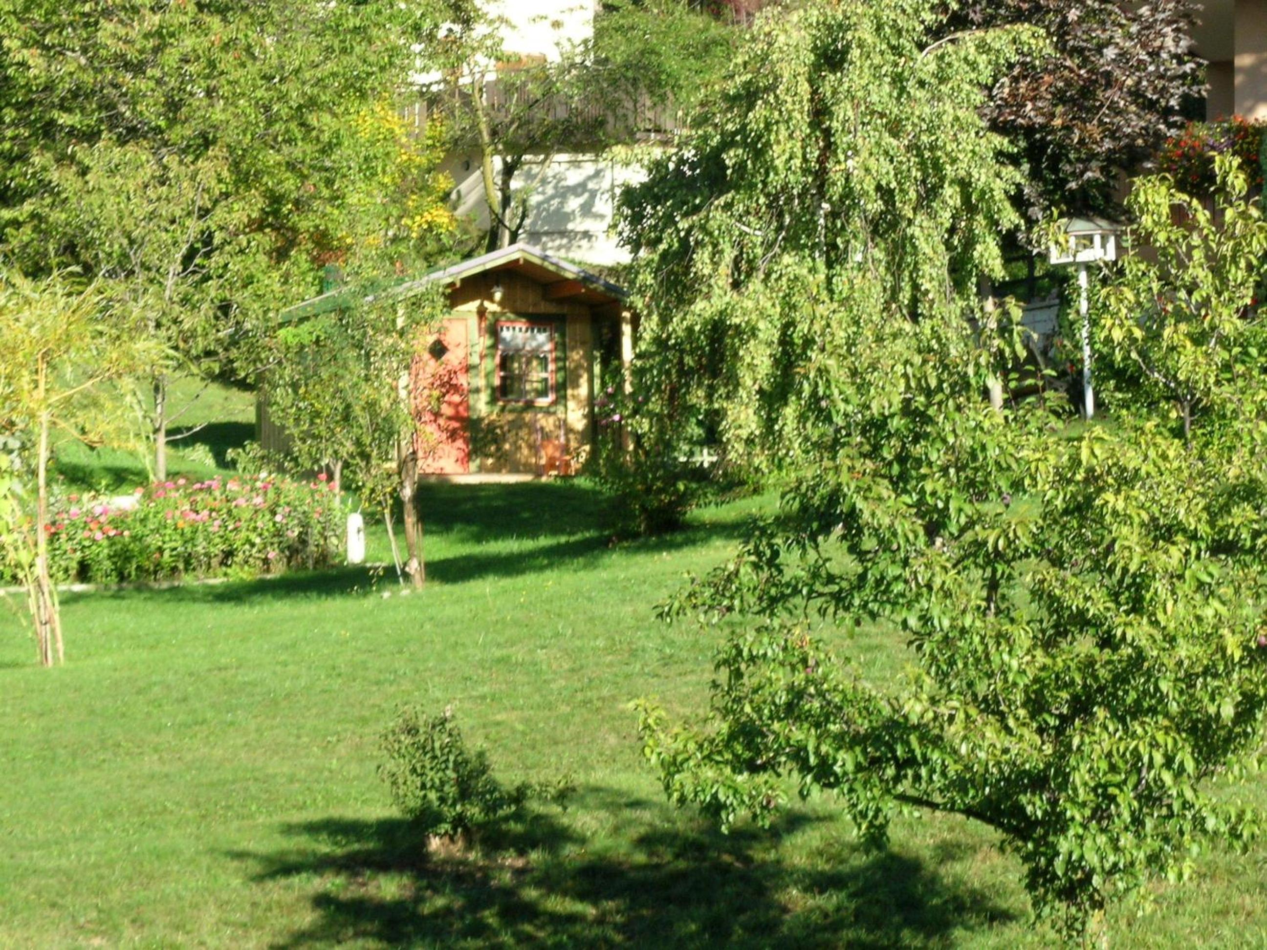 Photo 47