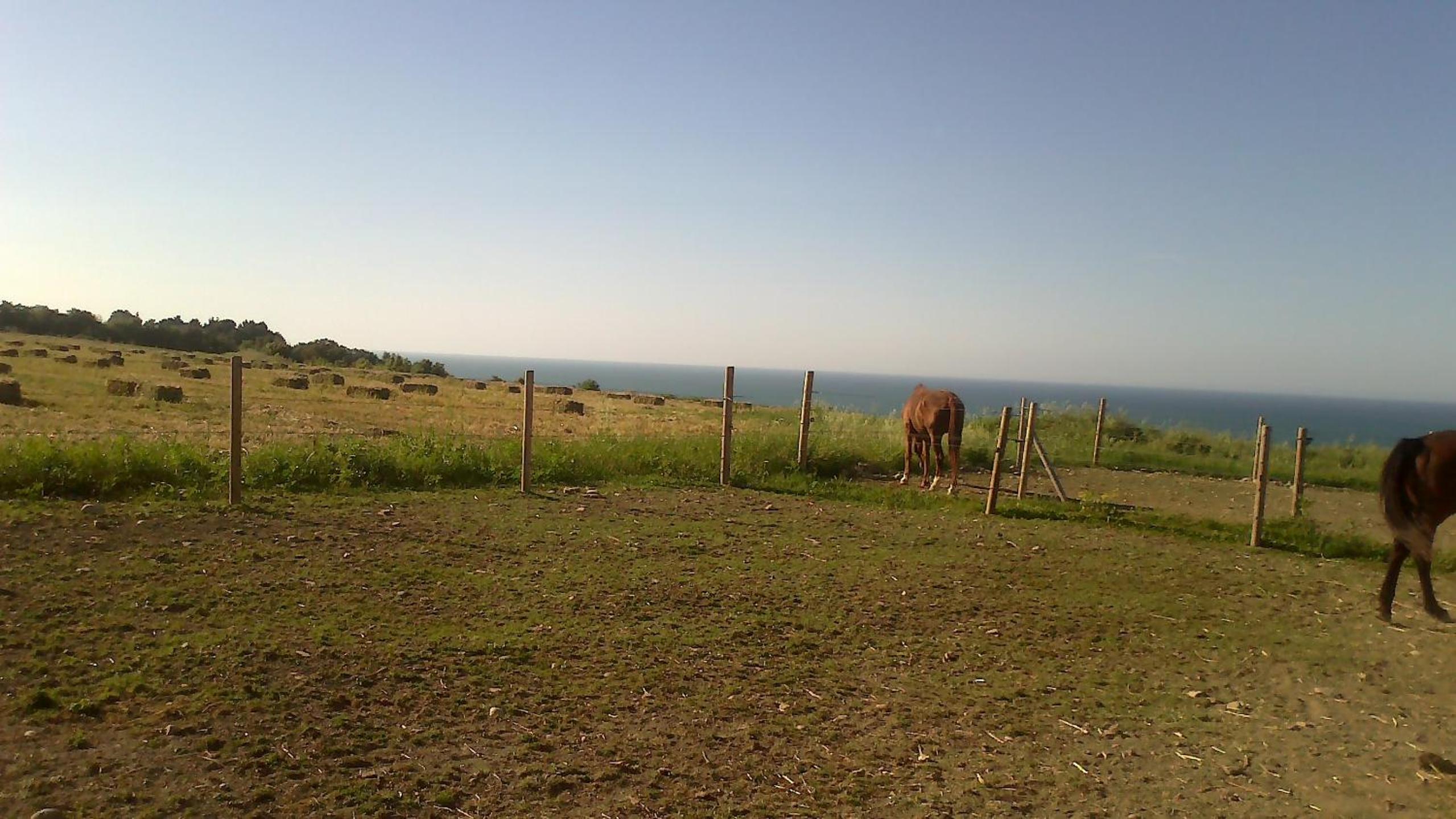 Photo 44