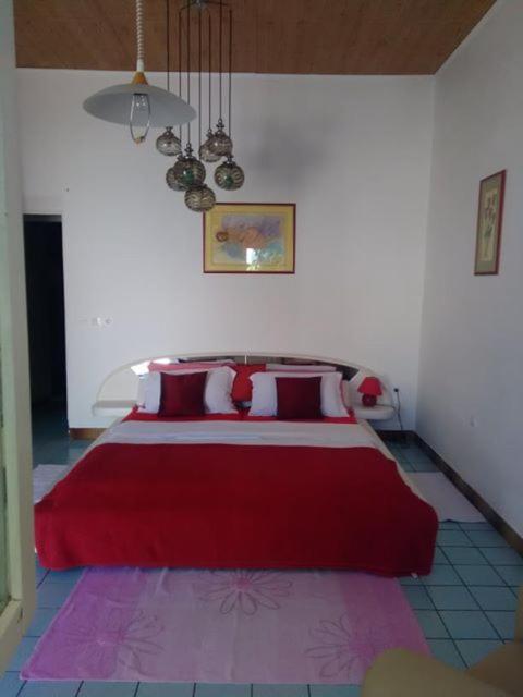 Photo 42