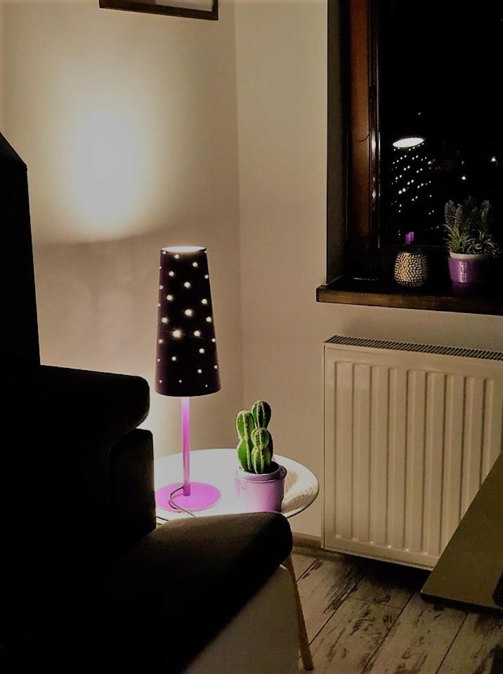 Apartament przy Źródełku view 5
