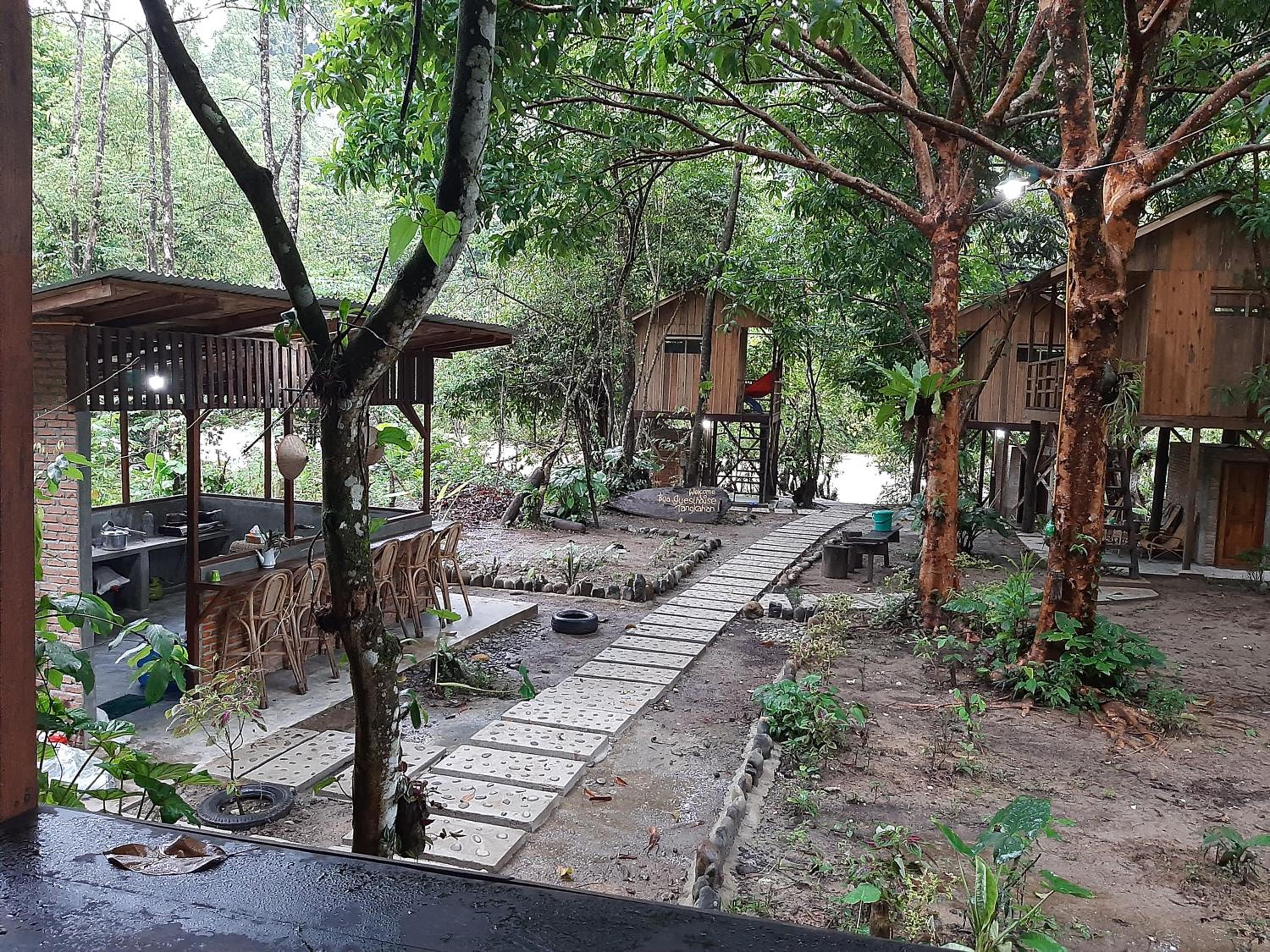Bua Guesthouse Tangkahan view 3