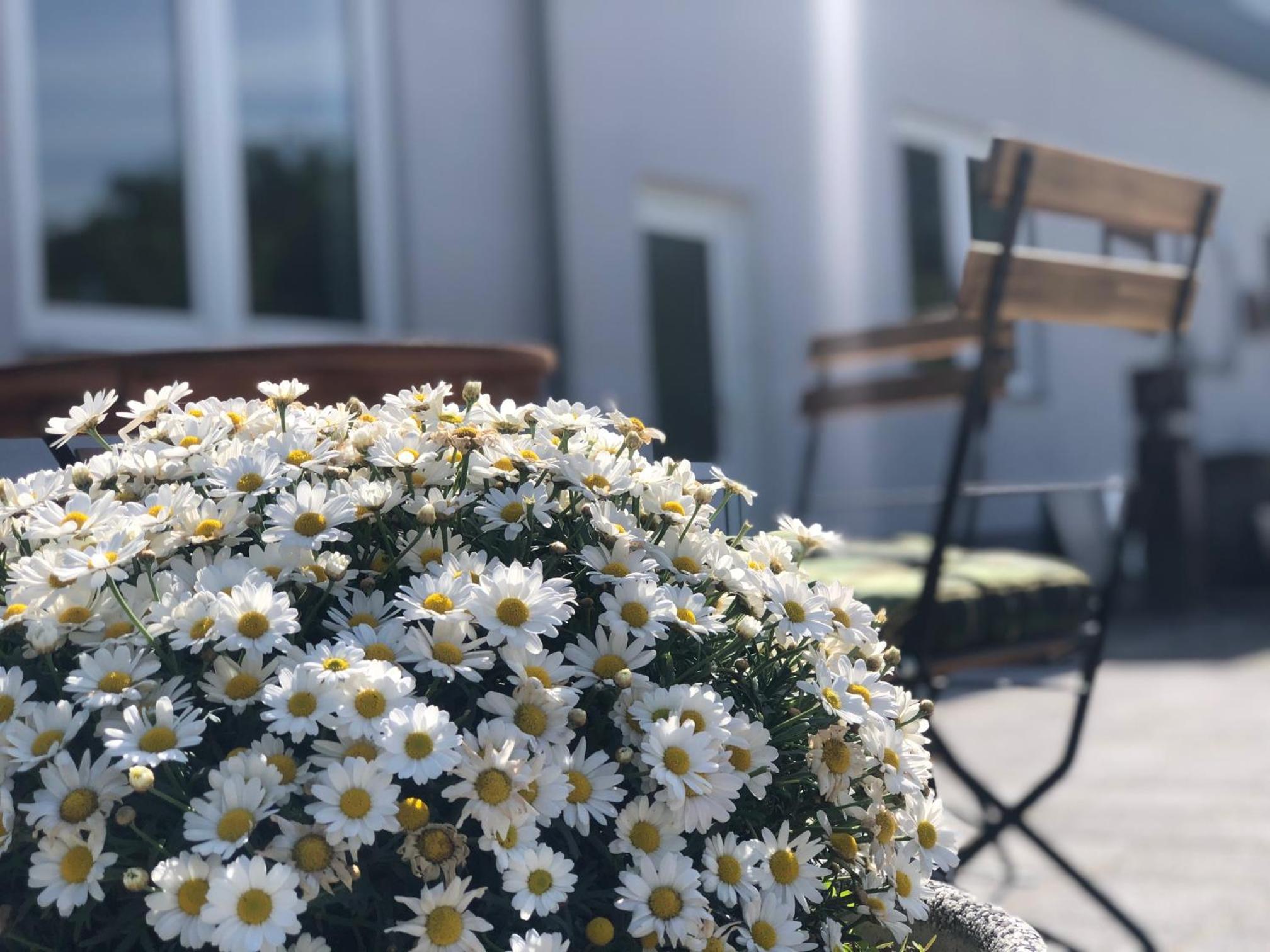Pension Zum Stein