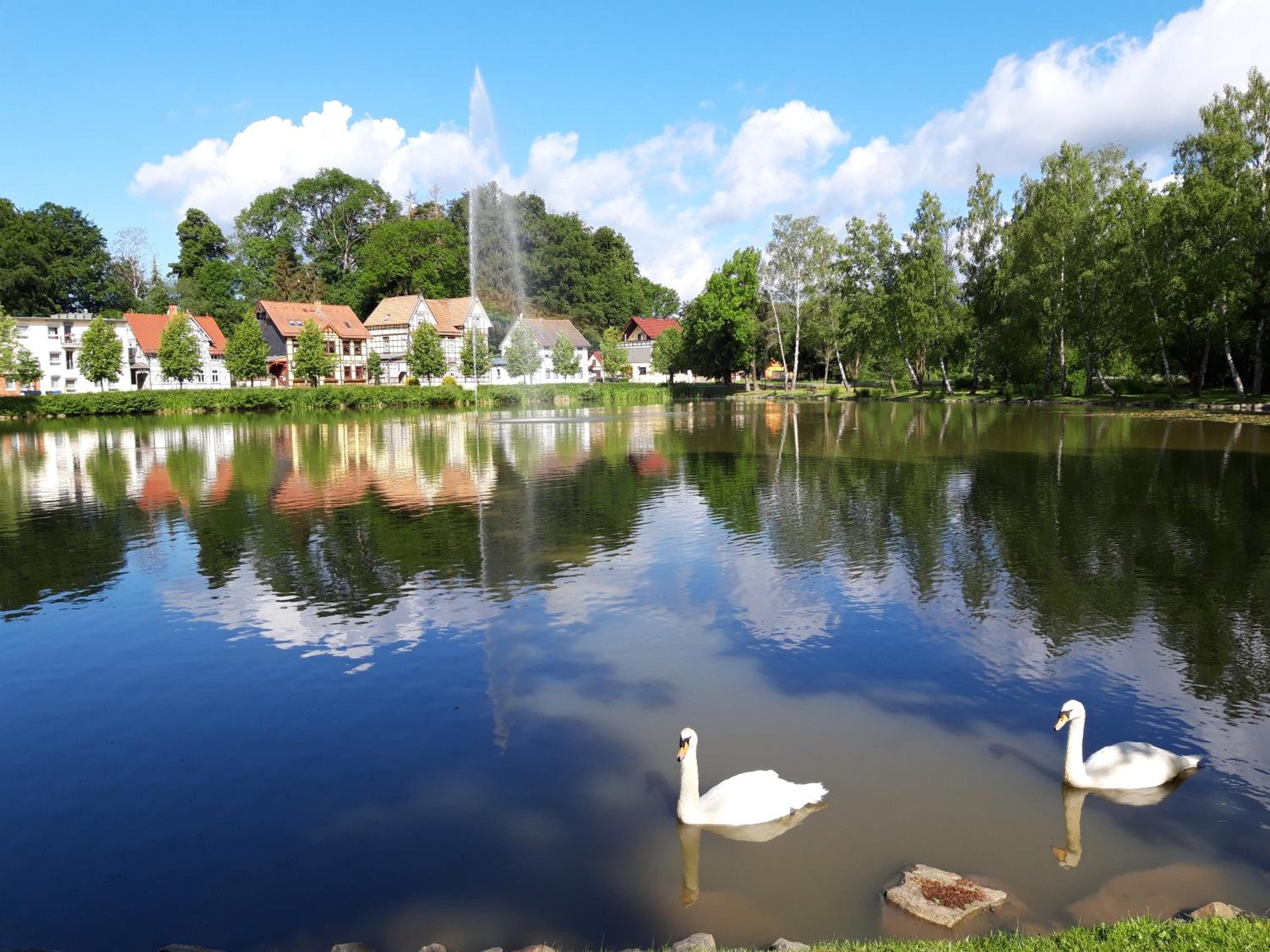 Ferienhaus am Riesenberg