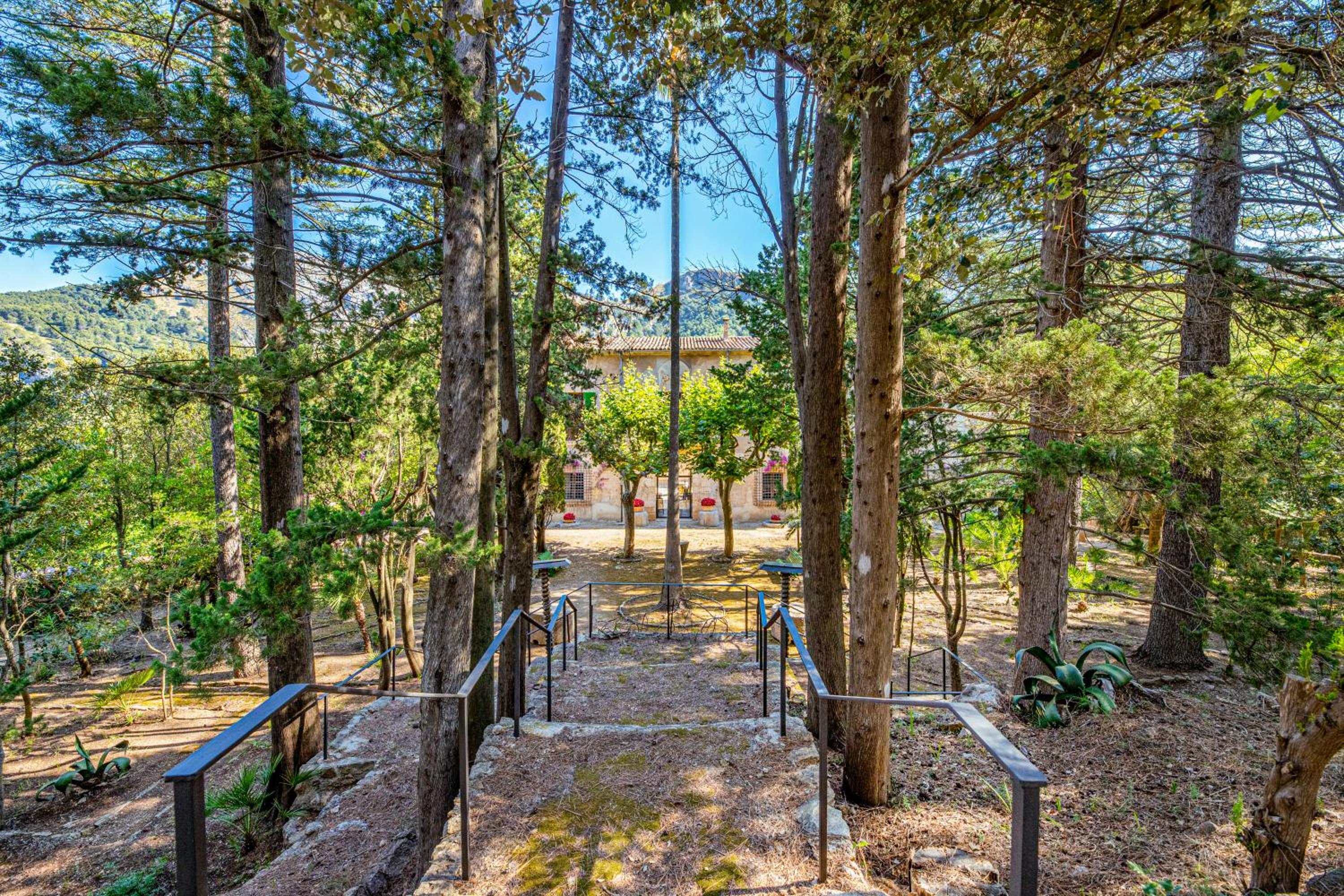 Son Grua Agroturismo - Adults only view 5