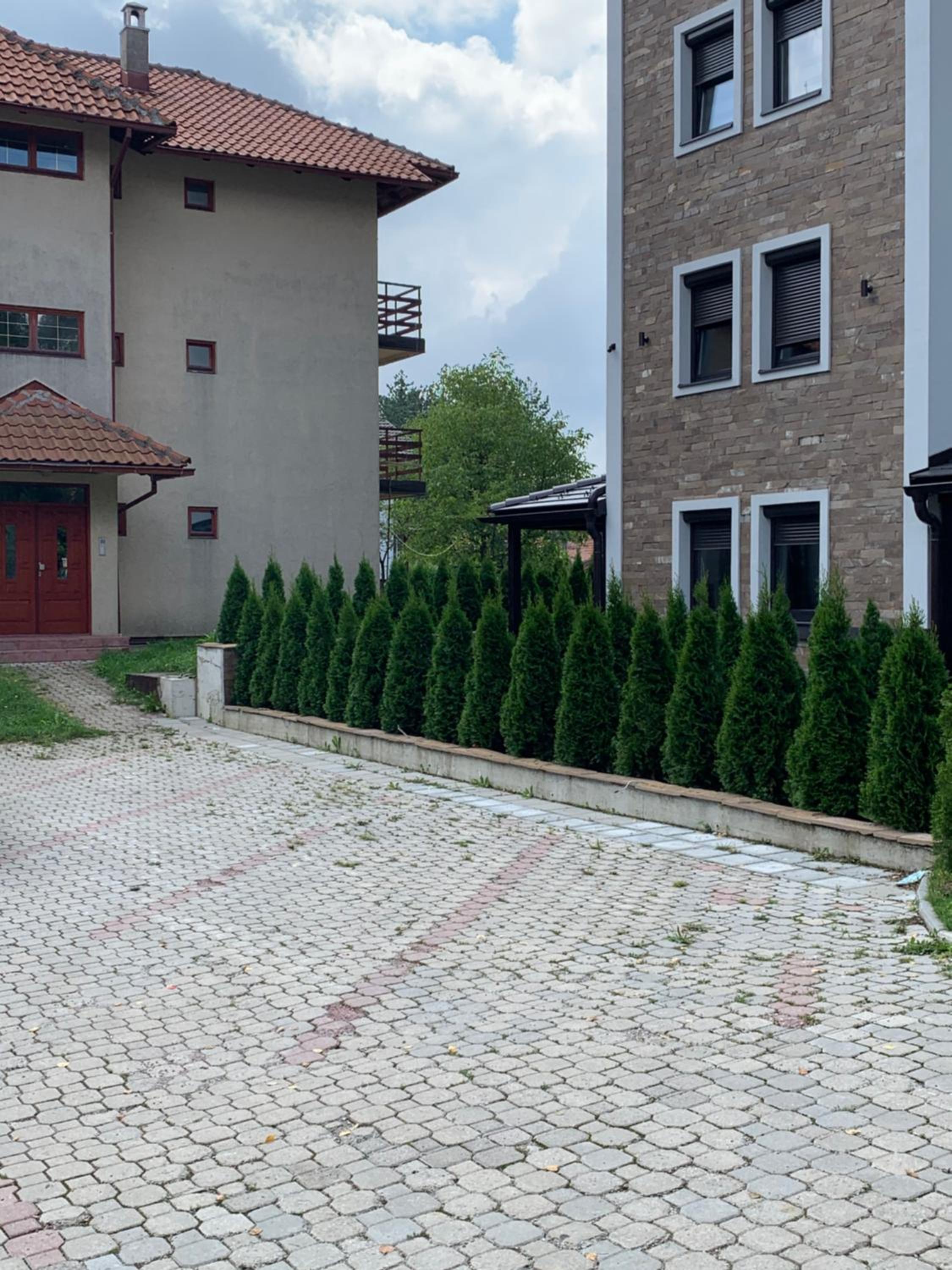 DuNe Apartment Zlatibor view 4