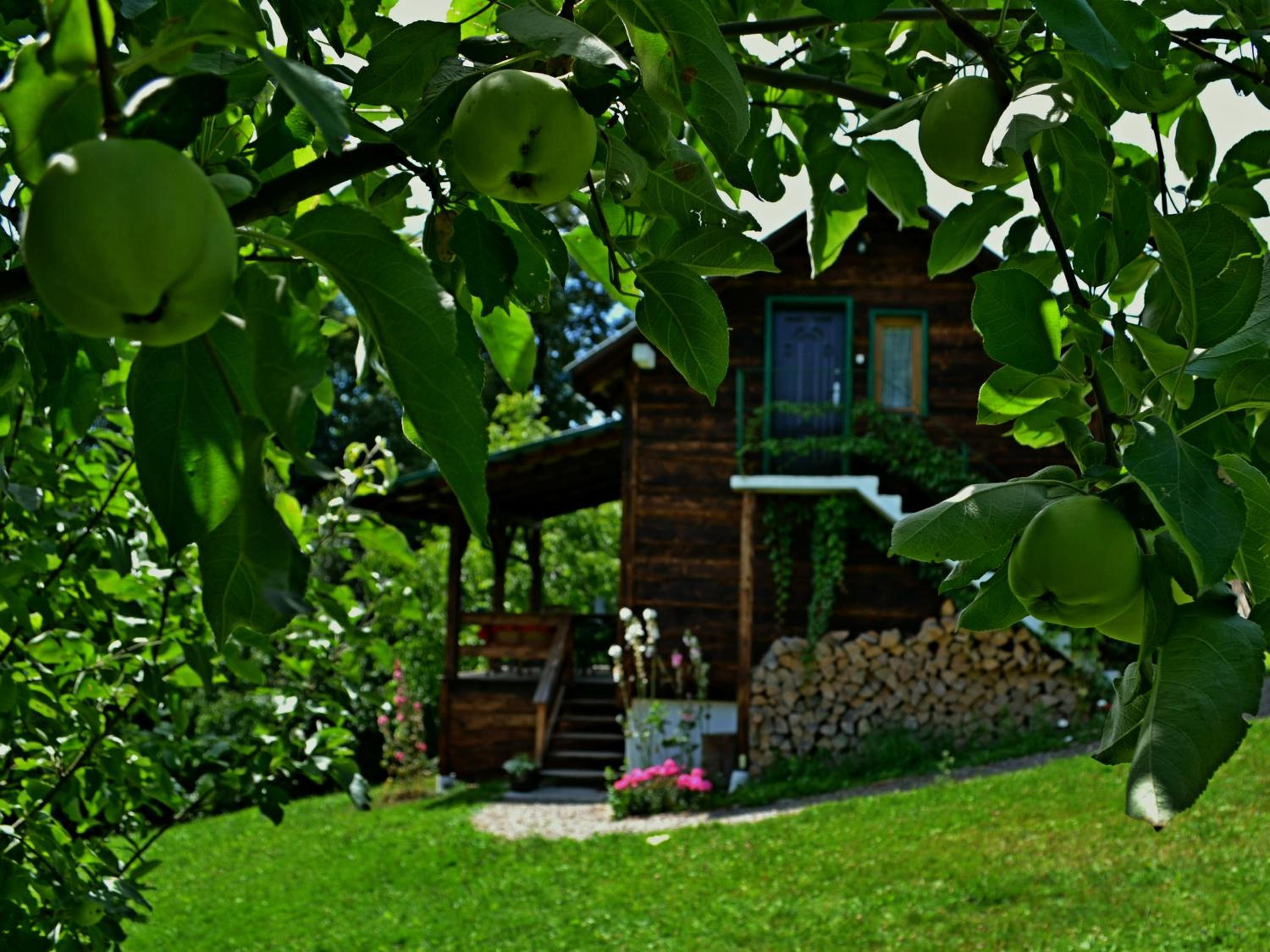 Na końcu świata view 4