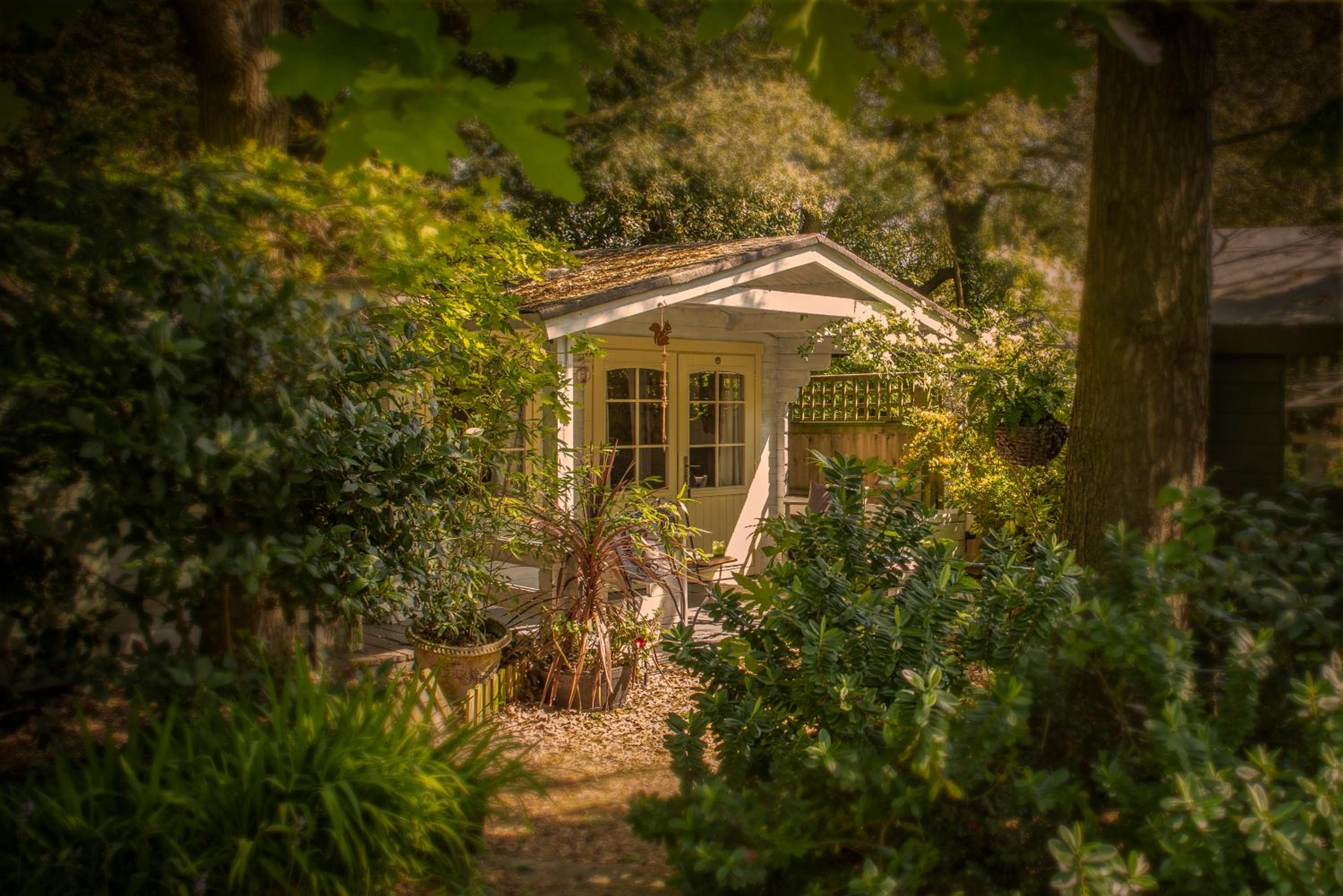 Ward Avenue B&B