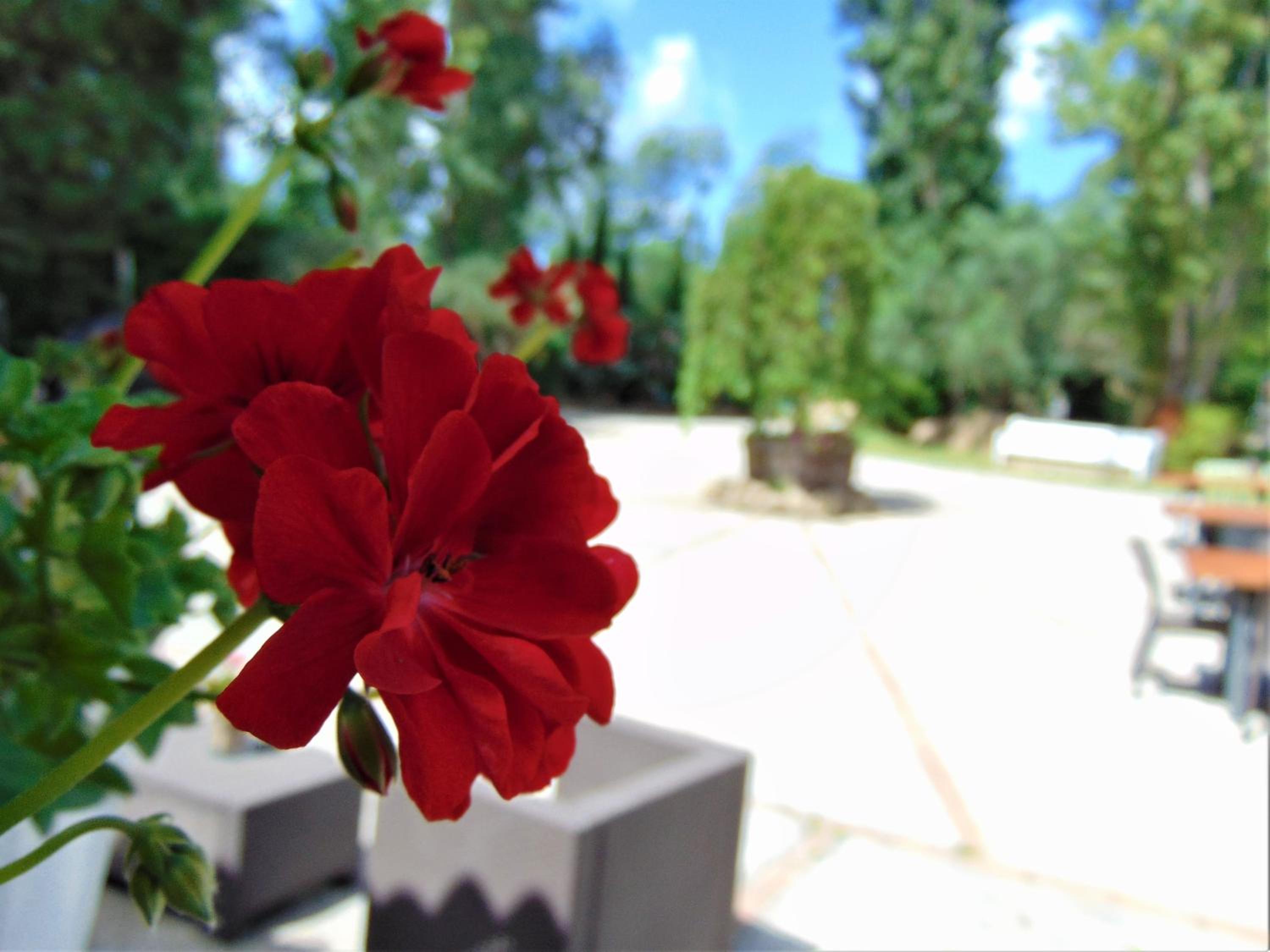 Casale Rurale photo 4