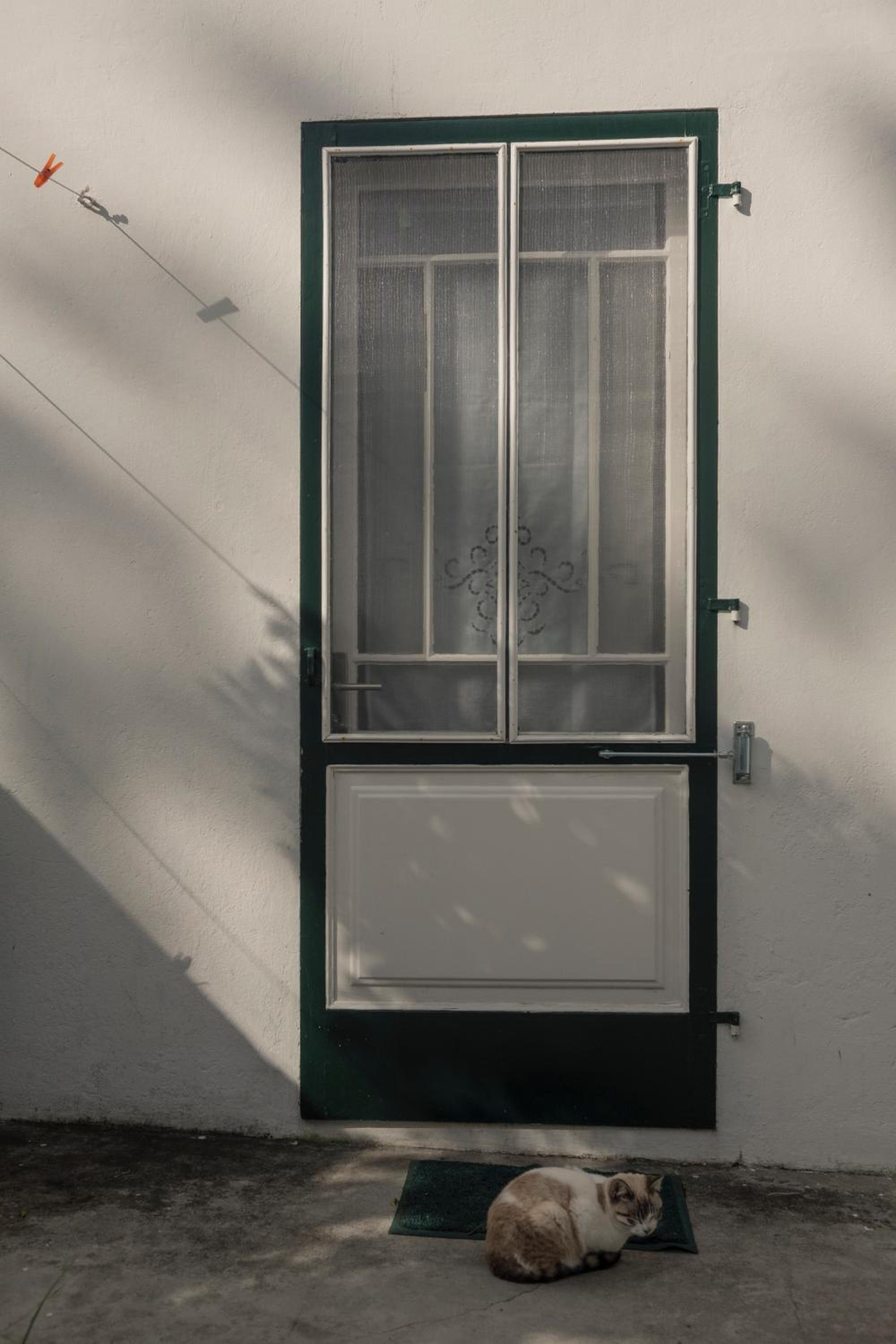 Photo 29