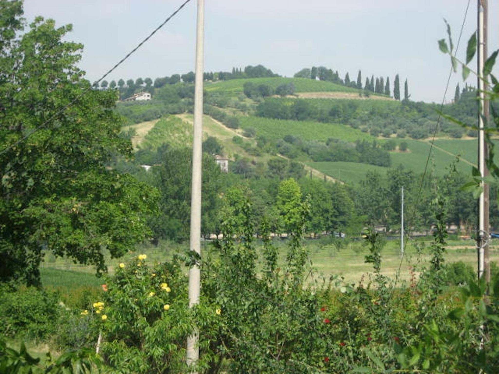 Photo 24