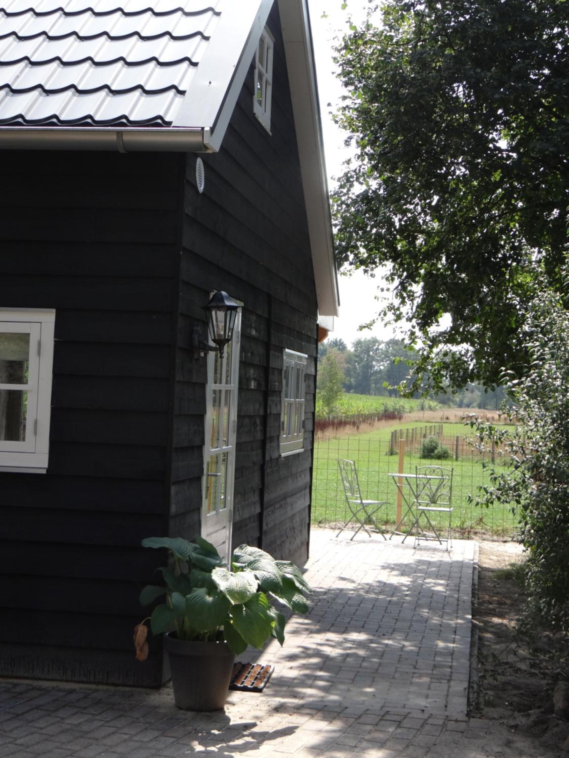 Photo 18