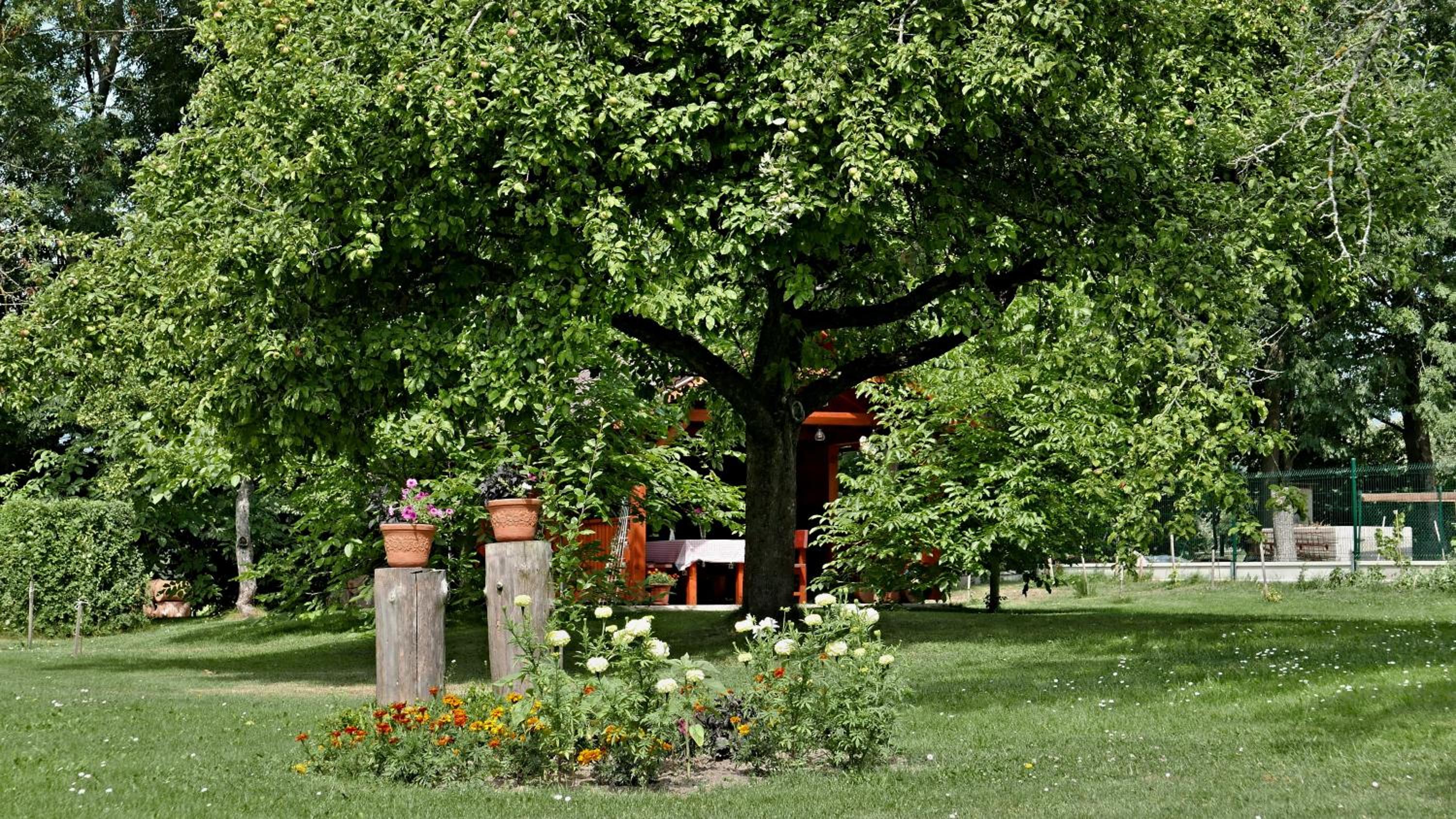 Photo 48