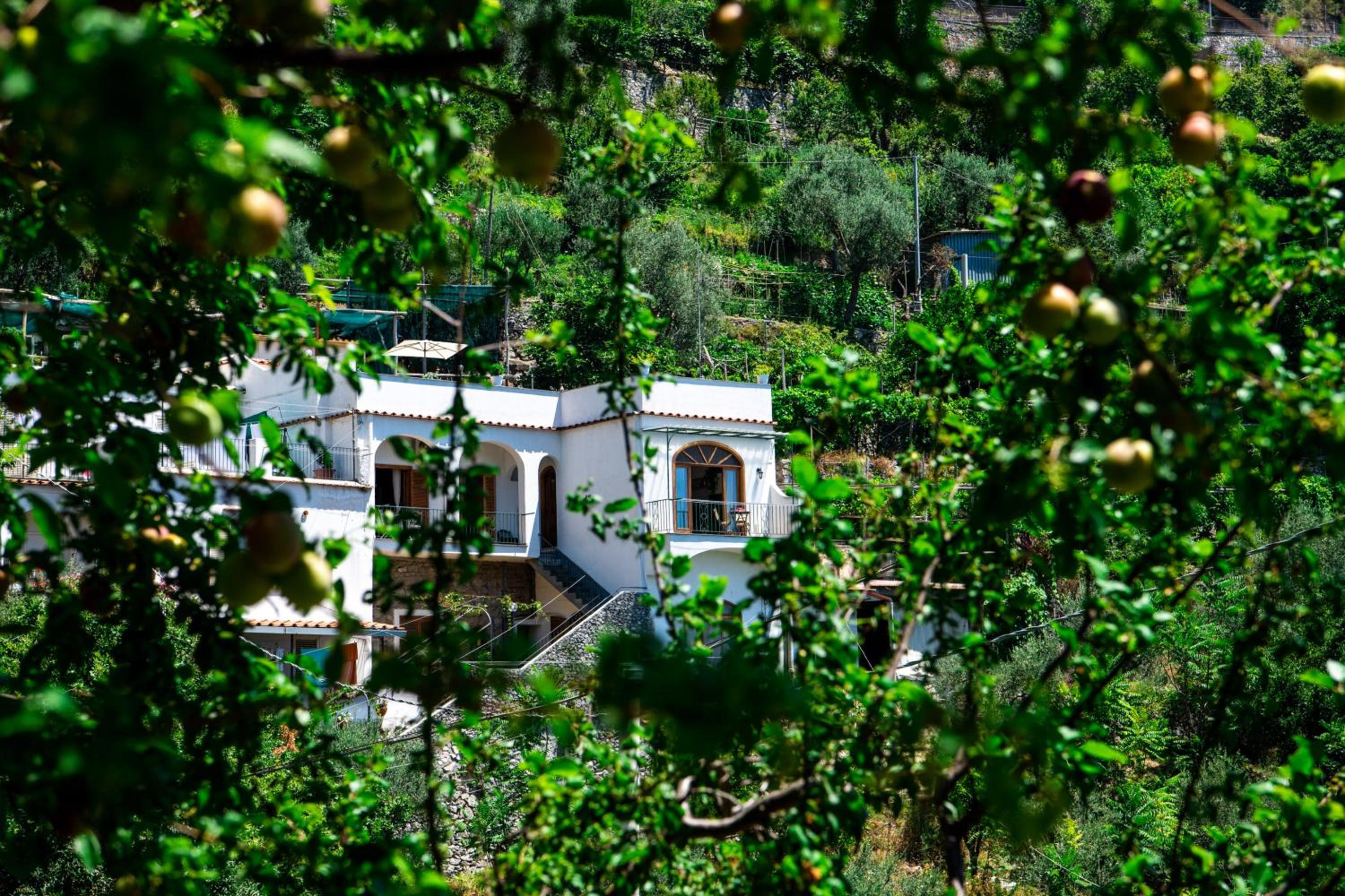Villa genny and emily photo 4