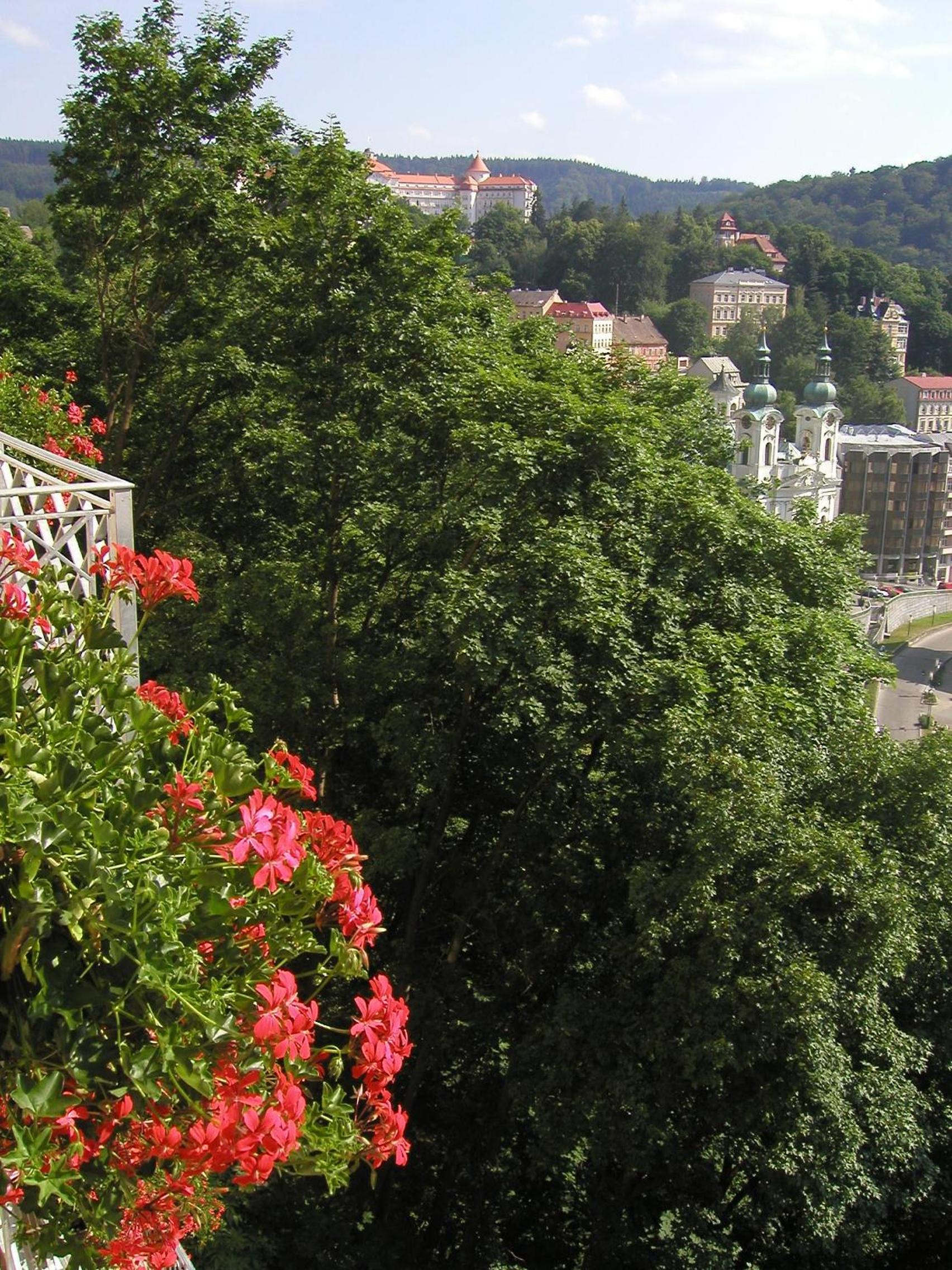 Villa Rosa, photo 84