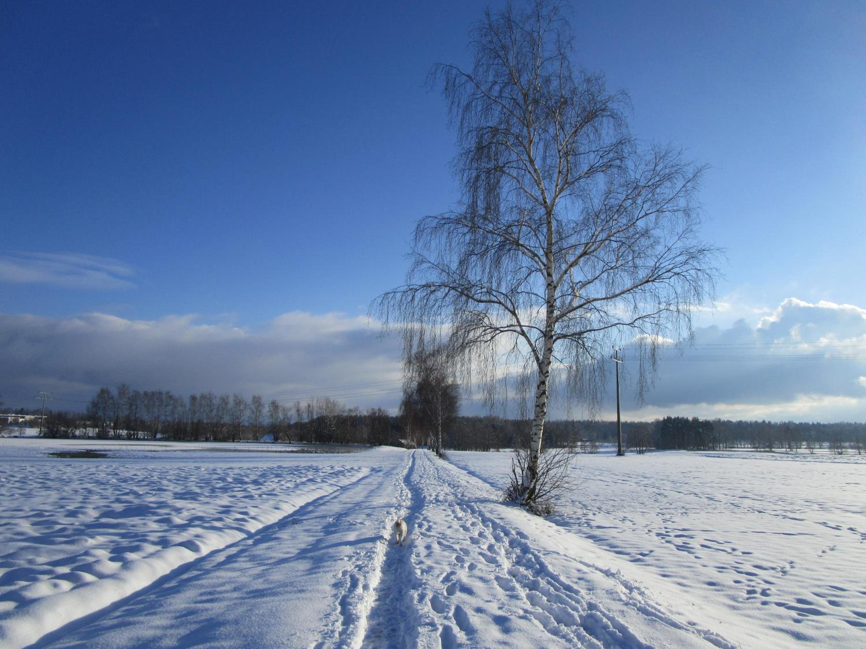 Photo 48