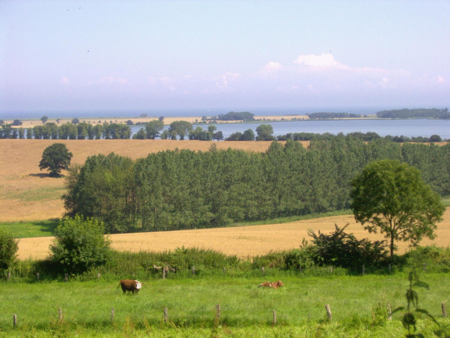 Photo 100