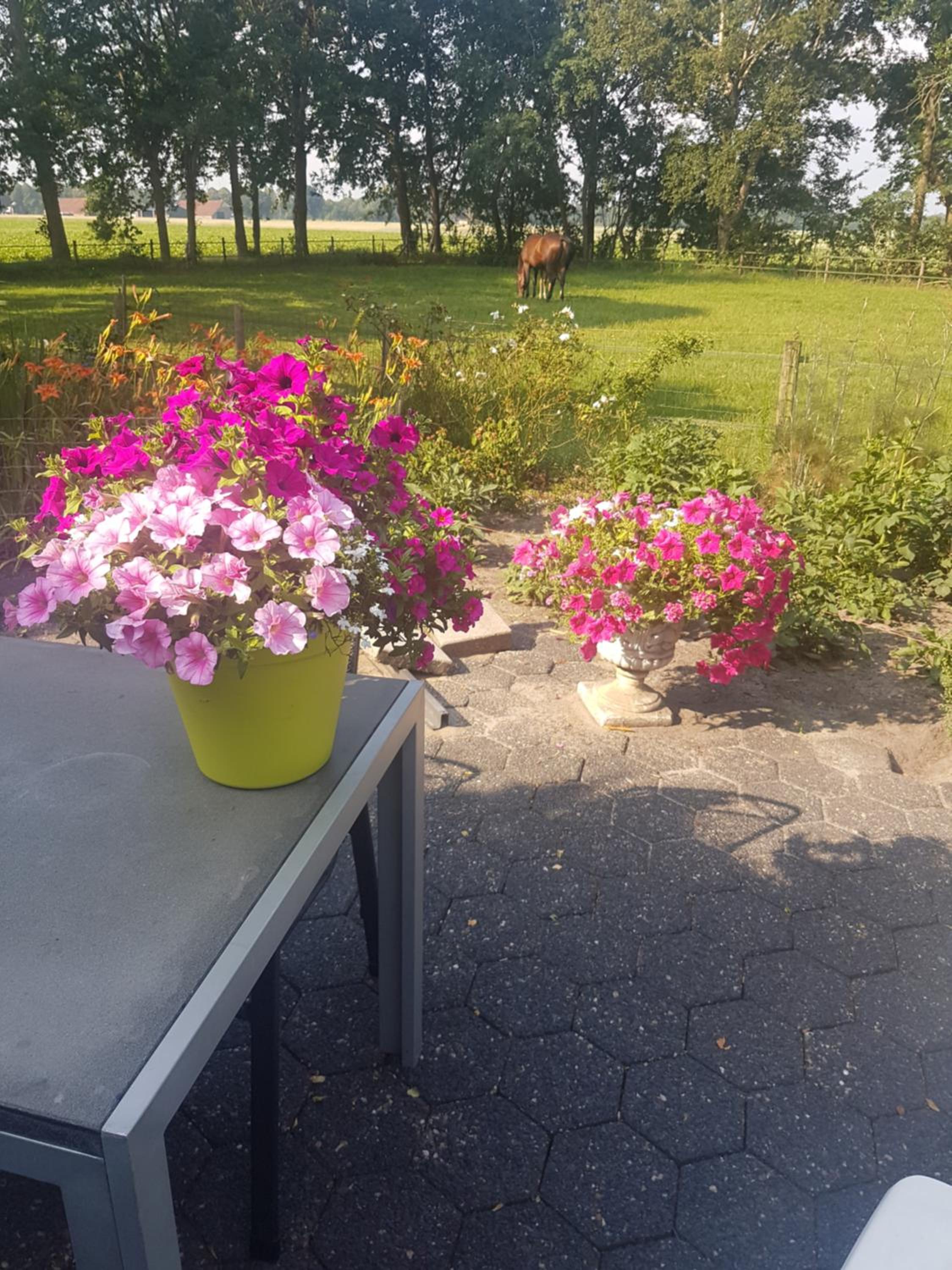 Het Reebokje view 5
