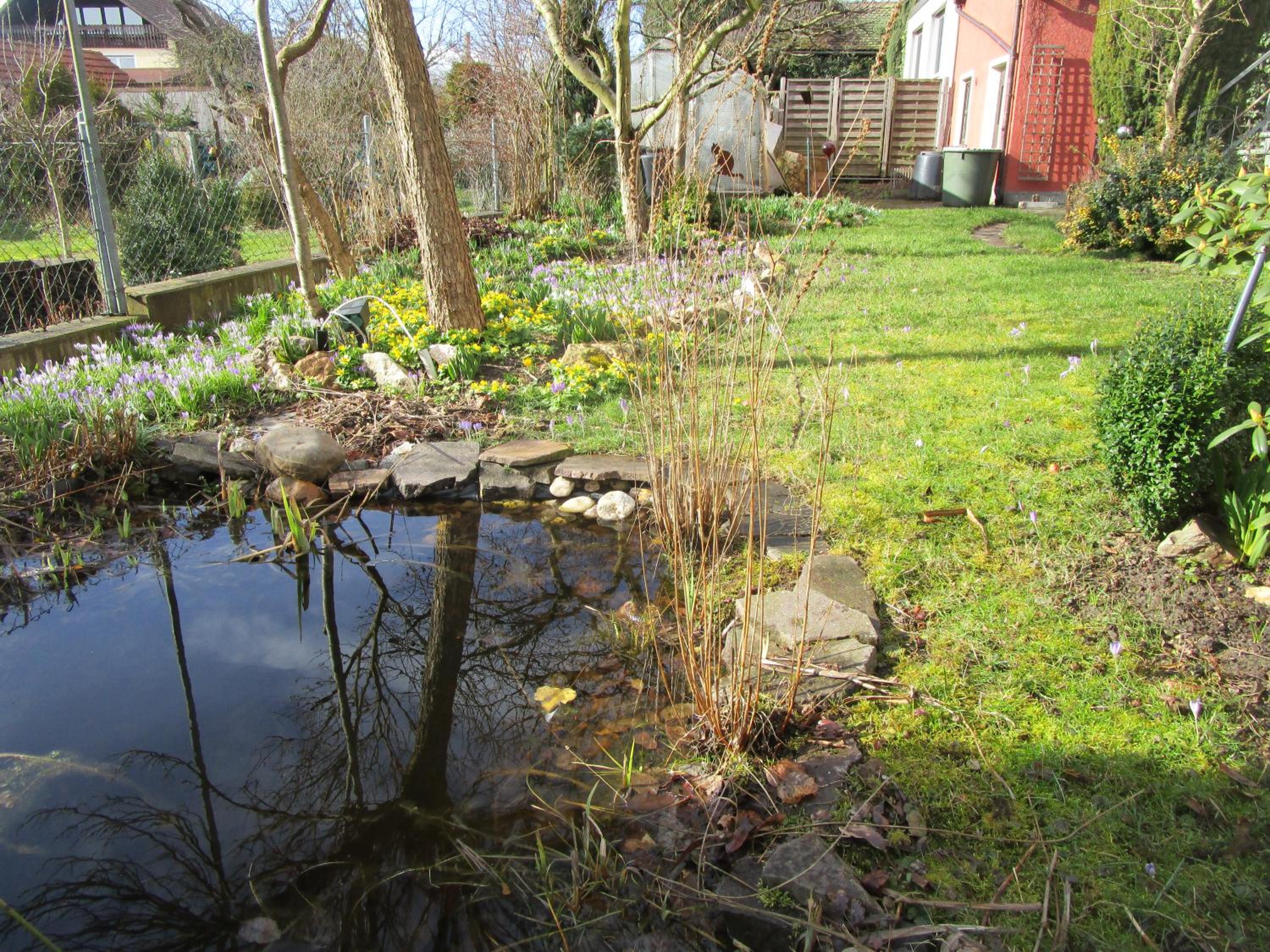 Photo 37