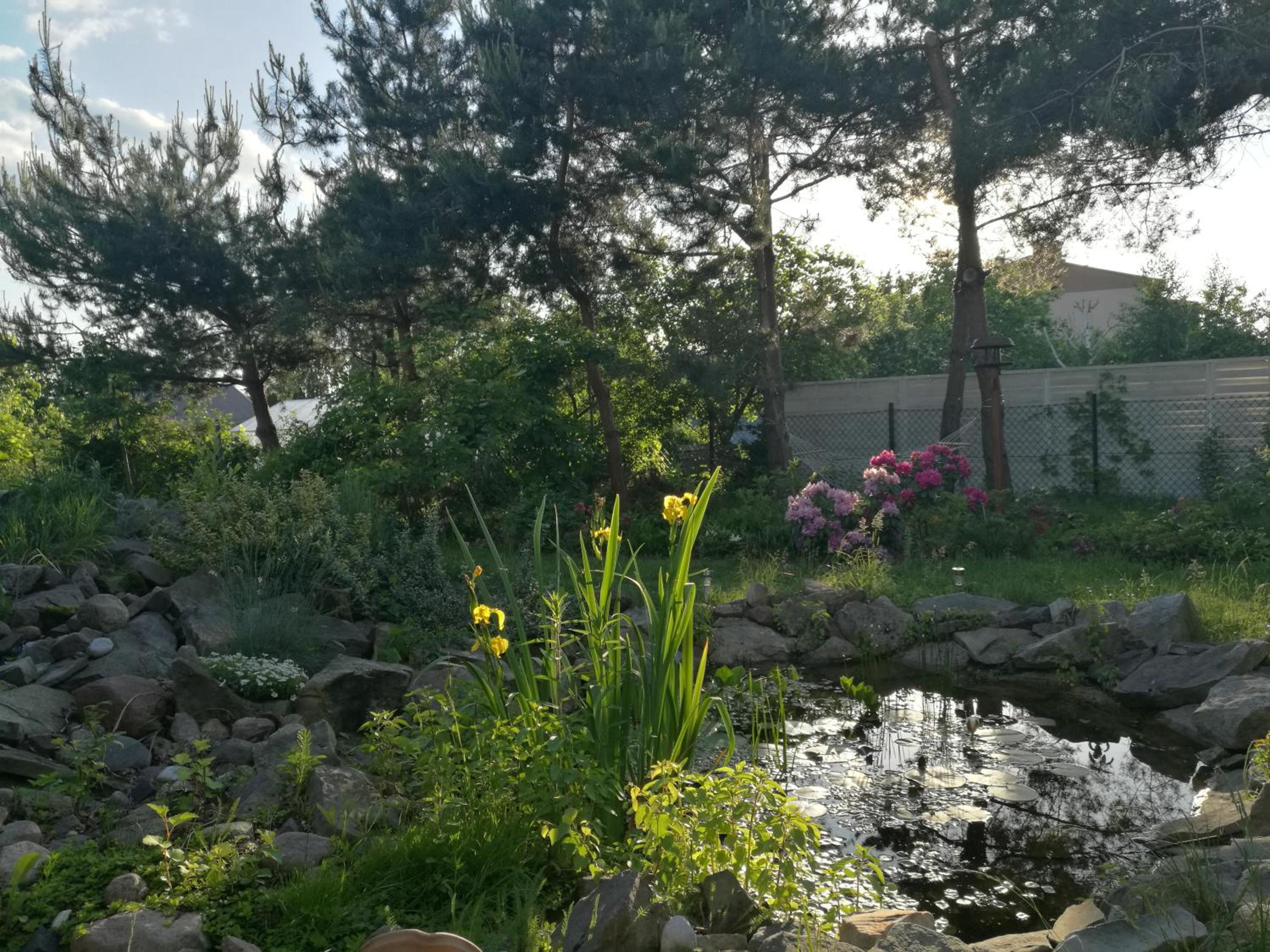 Wellspring view 4