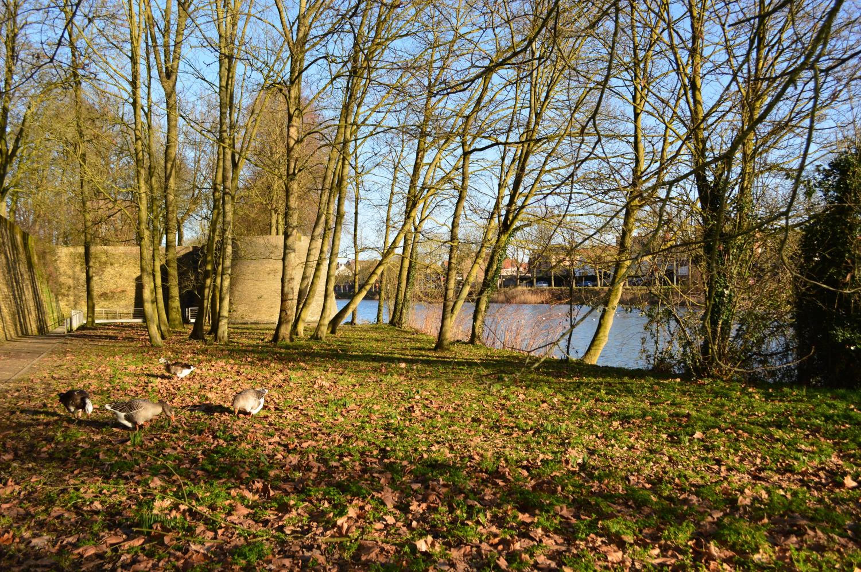 Holiday Home Ipericus