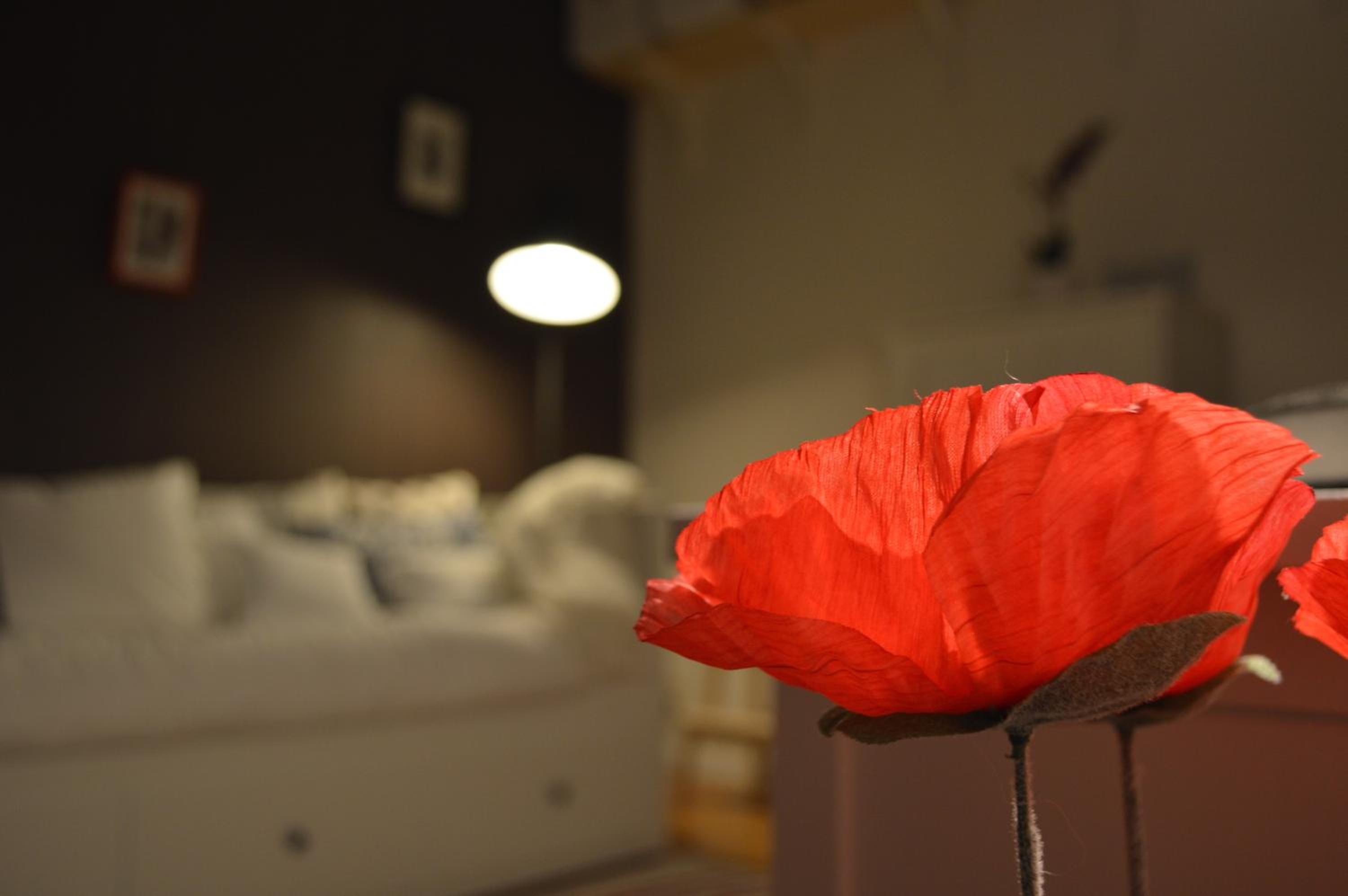 Holiday Home Ipericus