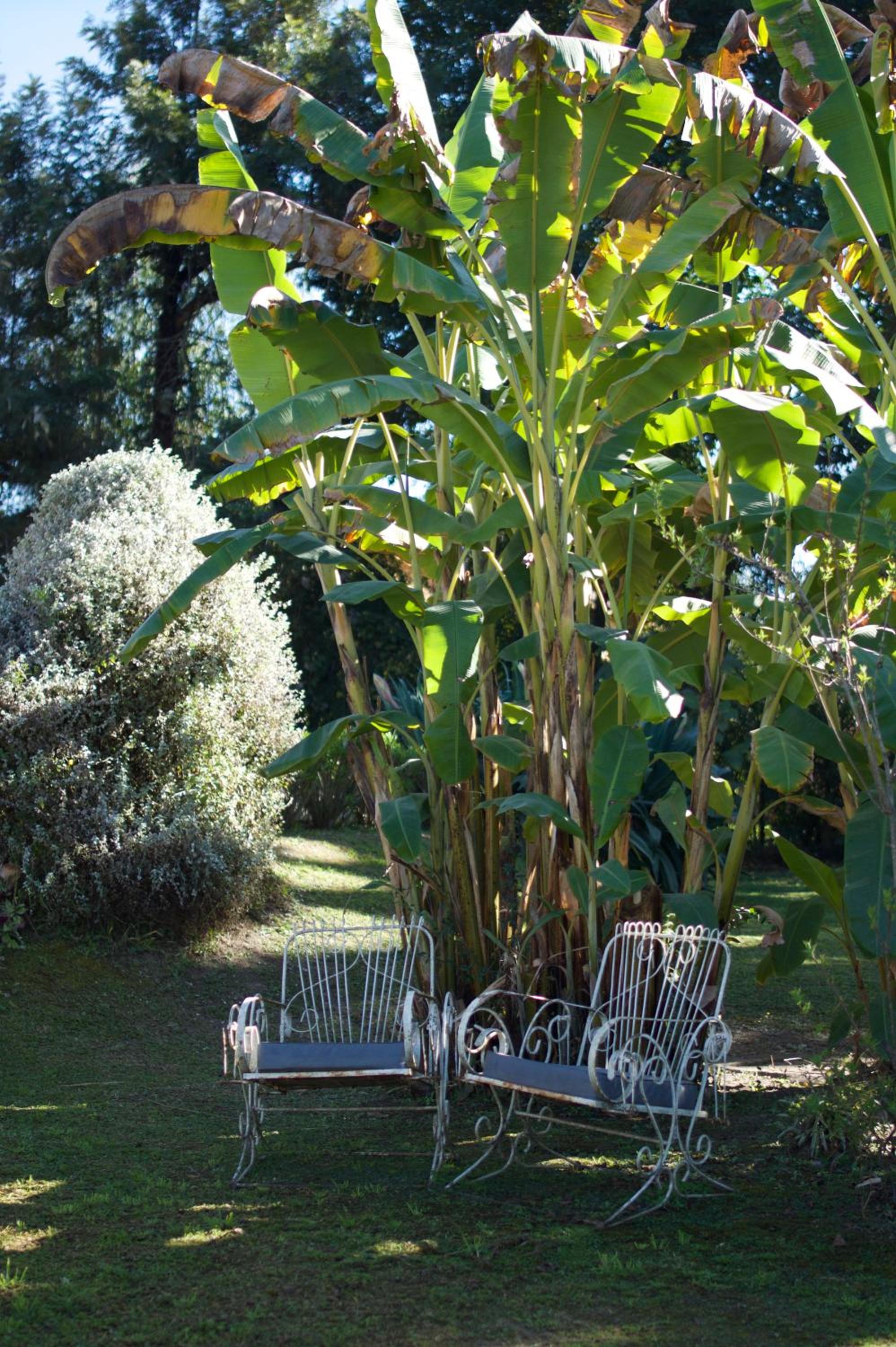 B&B Casa Hernández